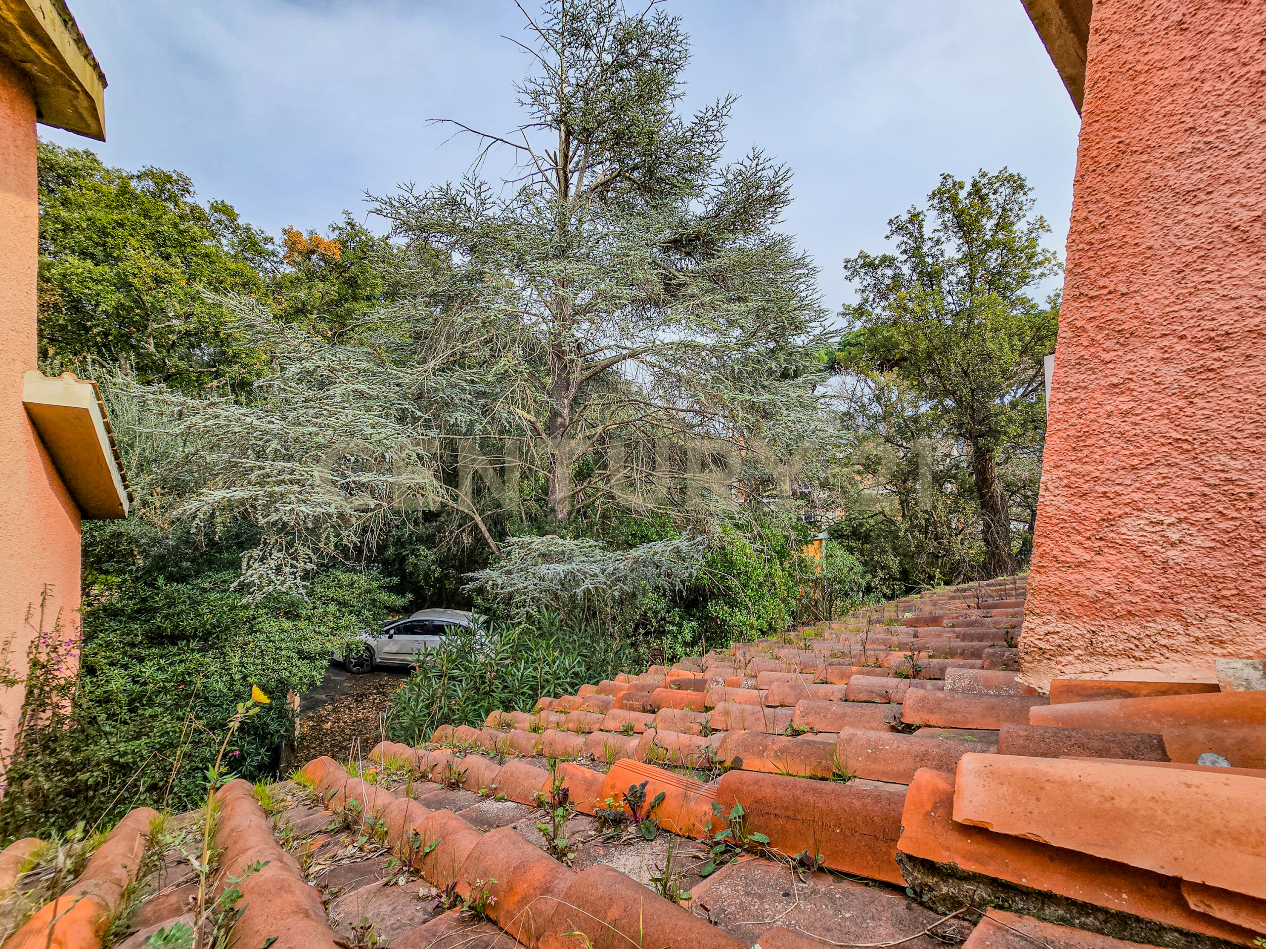 Villetta a schiera con giardino in via delle sughere, Castiglione della Pescaia