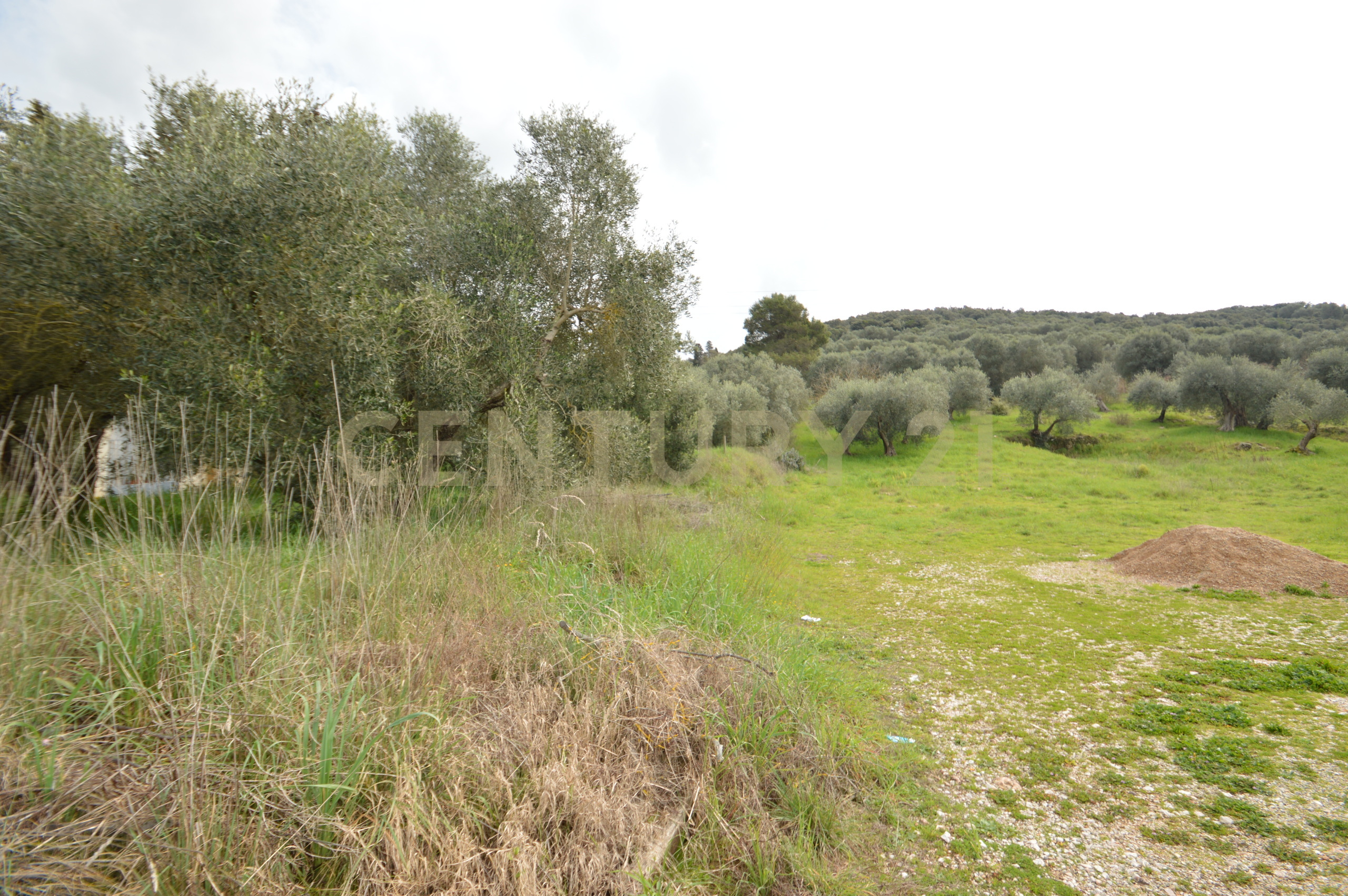 Casa indipendente con giardino in via aurelia sud 106, Grosseto