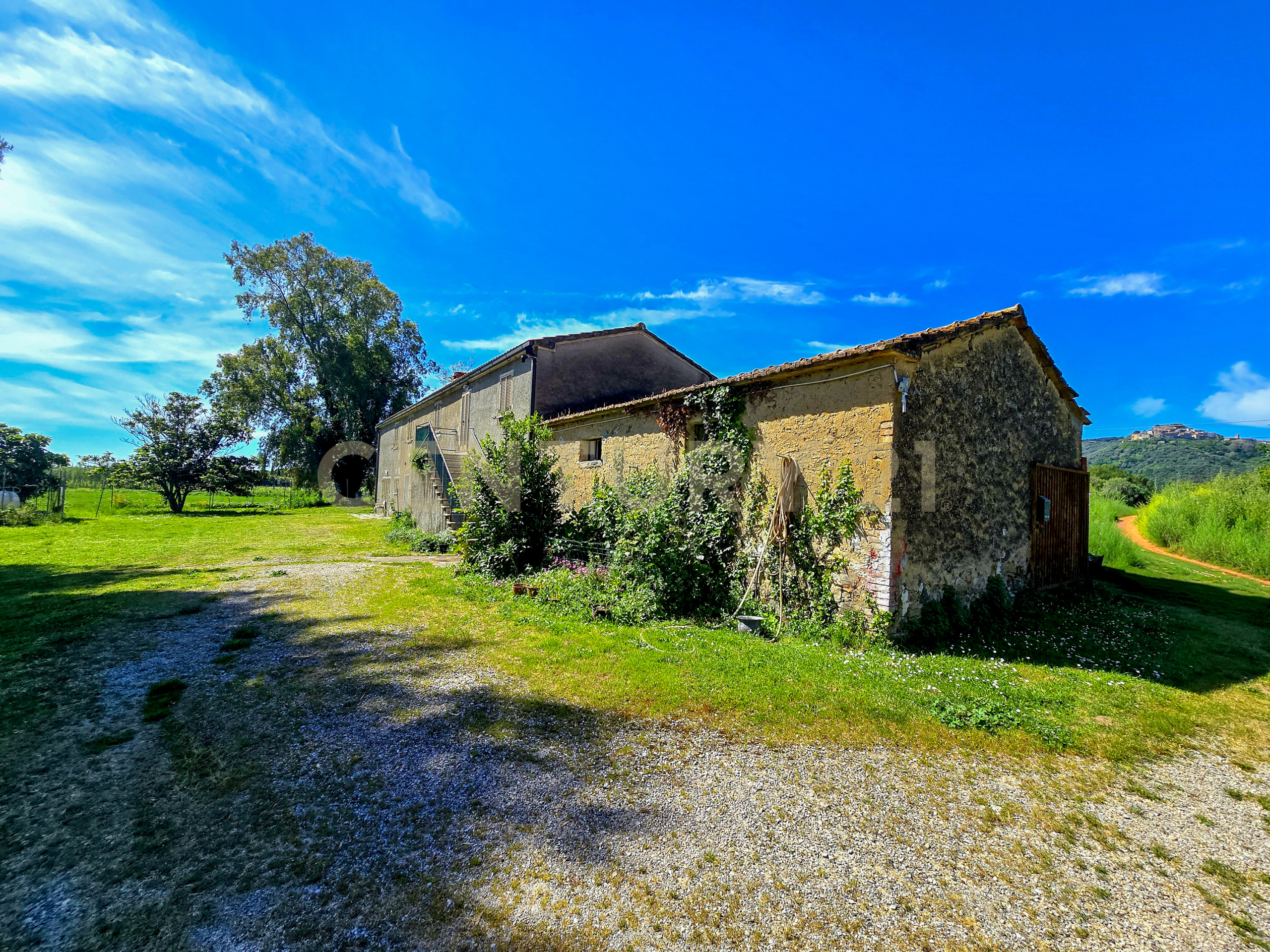 Casa indipendente con giardino in localit� vaticino 11, Castiglione della Pescaia