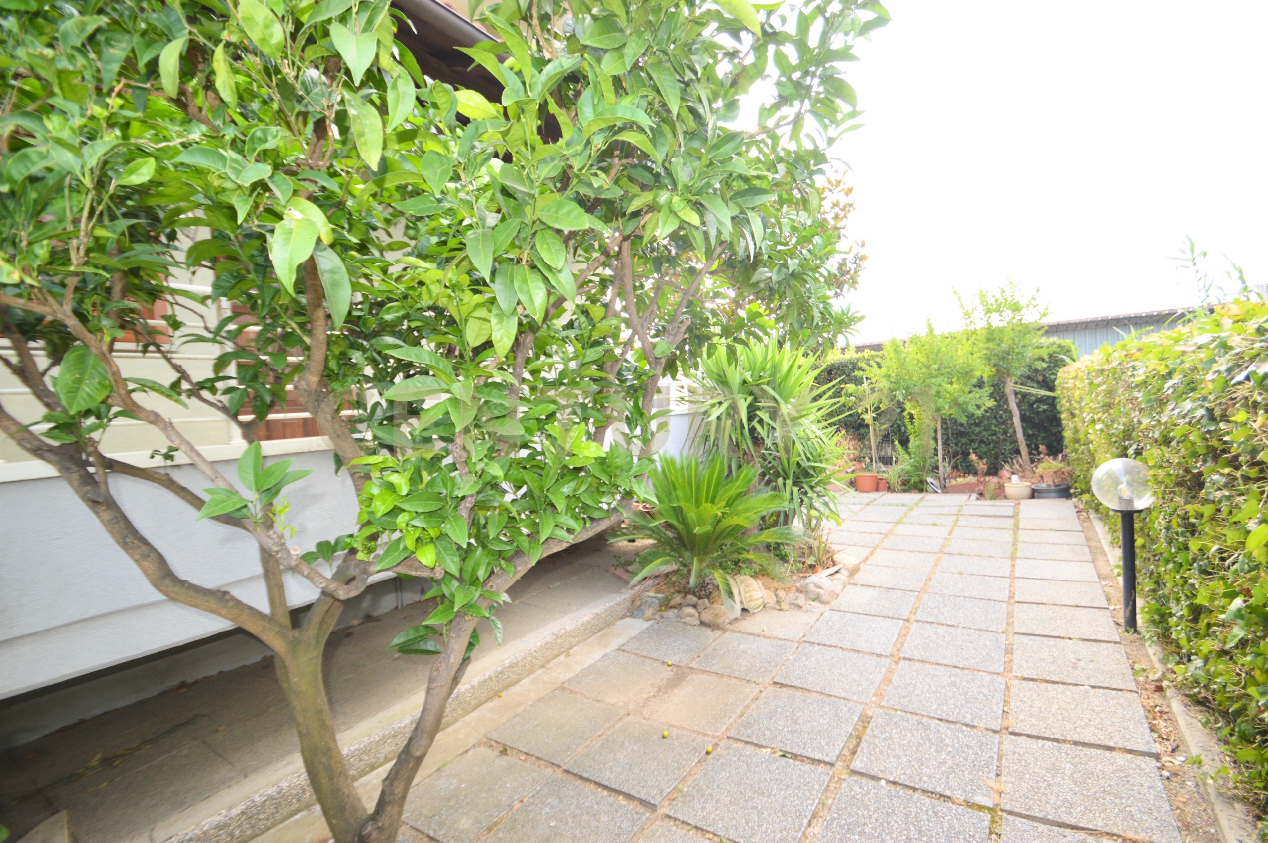 Stabile/Palazzo con giardino in via castiglionese 35, Grosseto