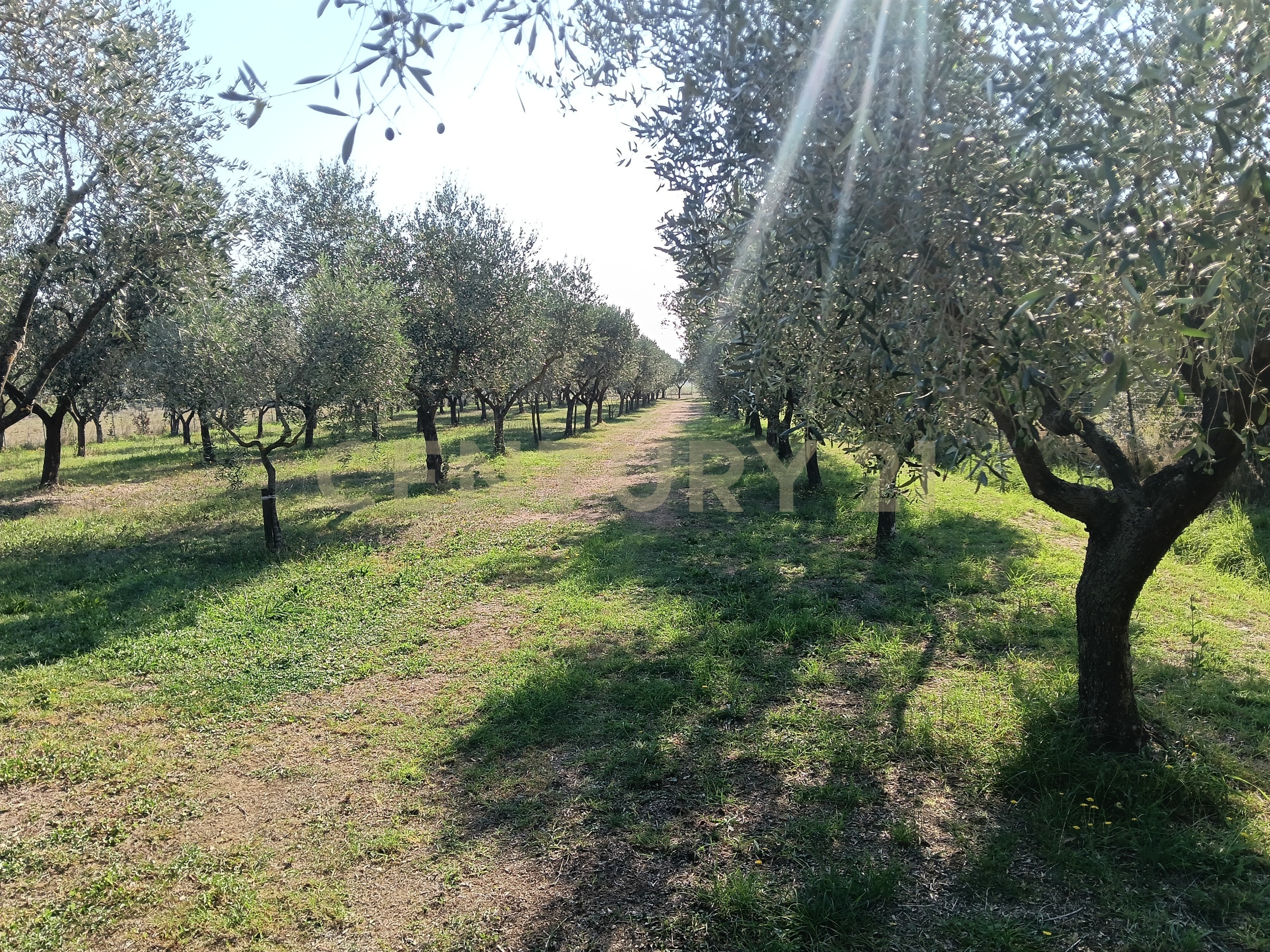 Casa indipendente con giardino in localit� val di campo piano 7, Castiglione della Pescaia