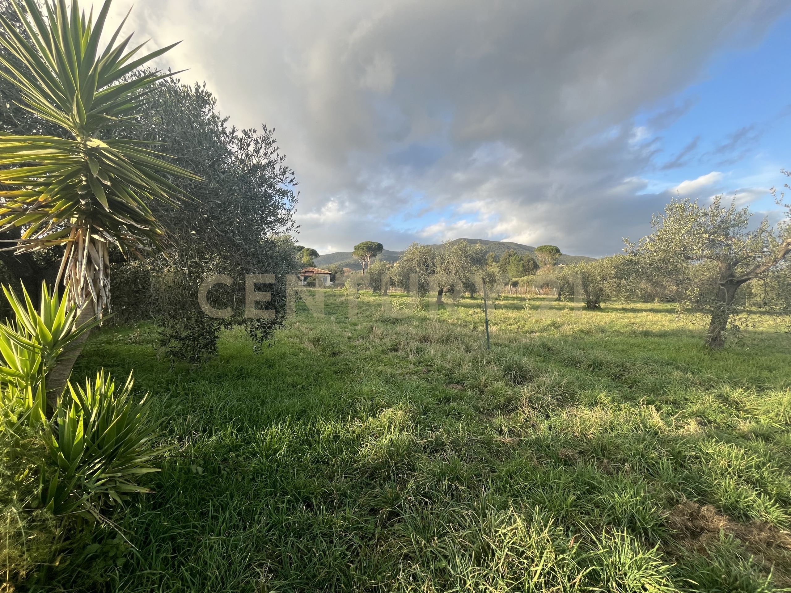 Terreno Agricolo in vendita in via san maria, Castiglione della Pescaia