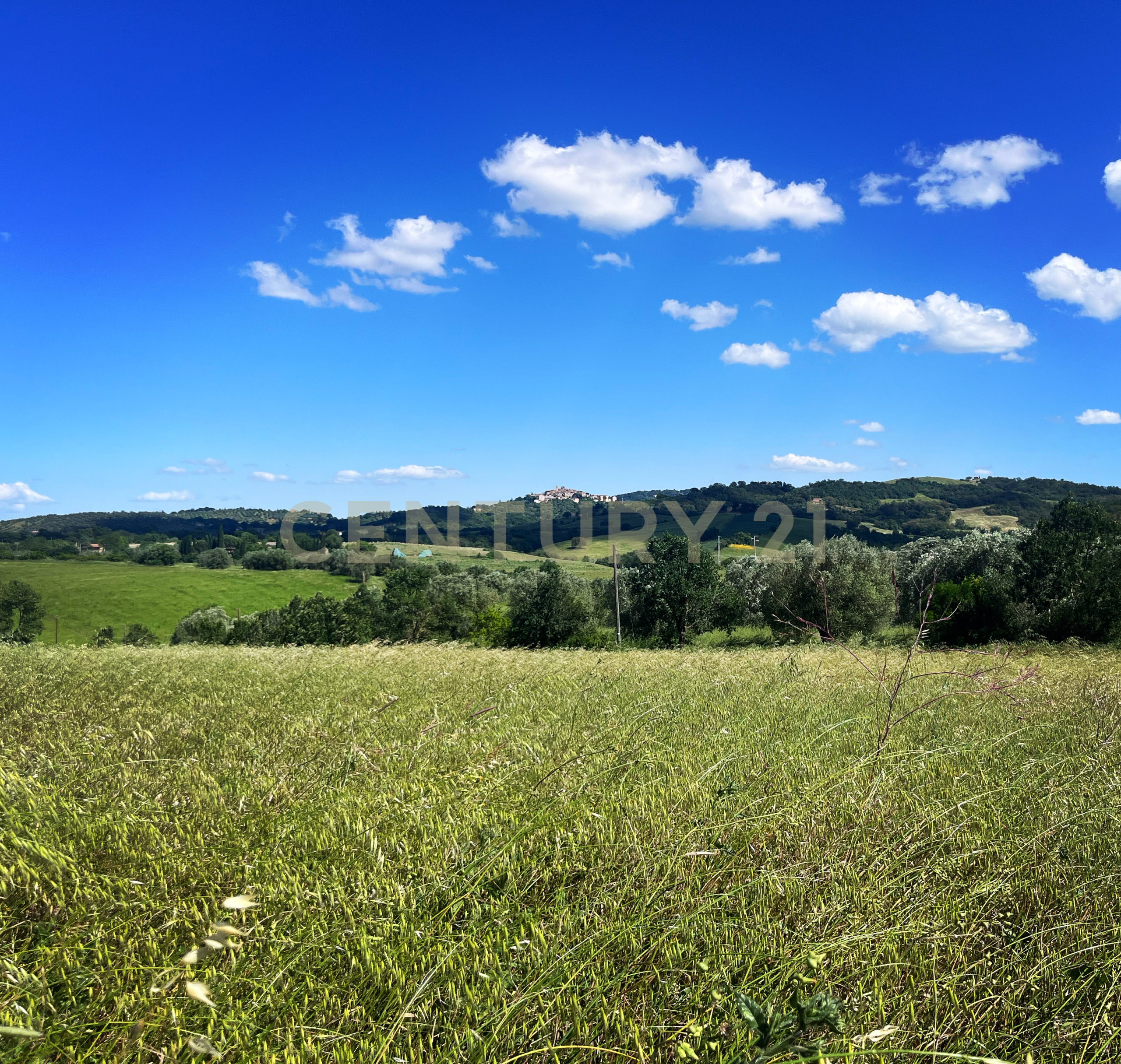 Terreno Agricolo in vendita in loc. la campigliola, Manciano