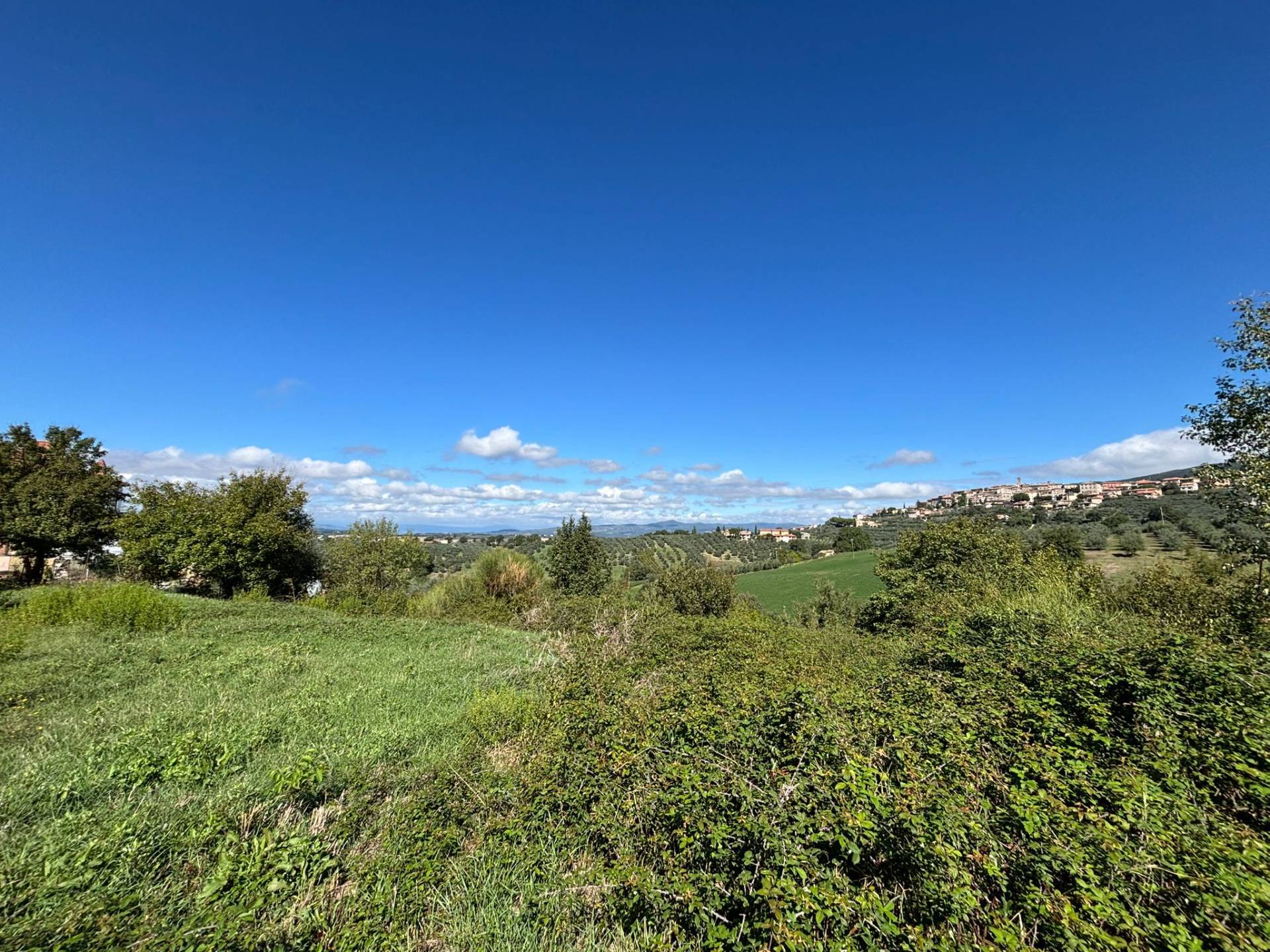 Casa singola in vendita a Montecchio, Tenaglie