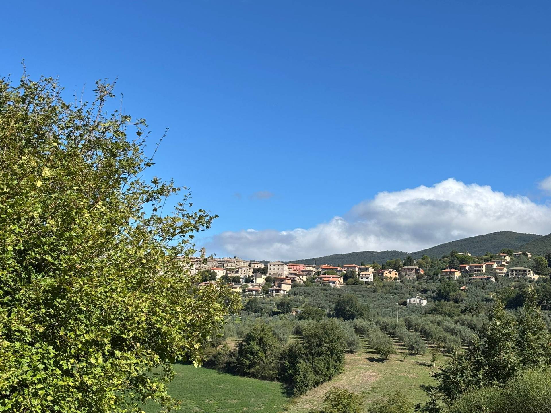 Casa singola in vendita a Montecchio, Tenaglie