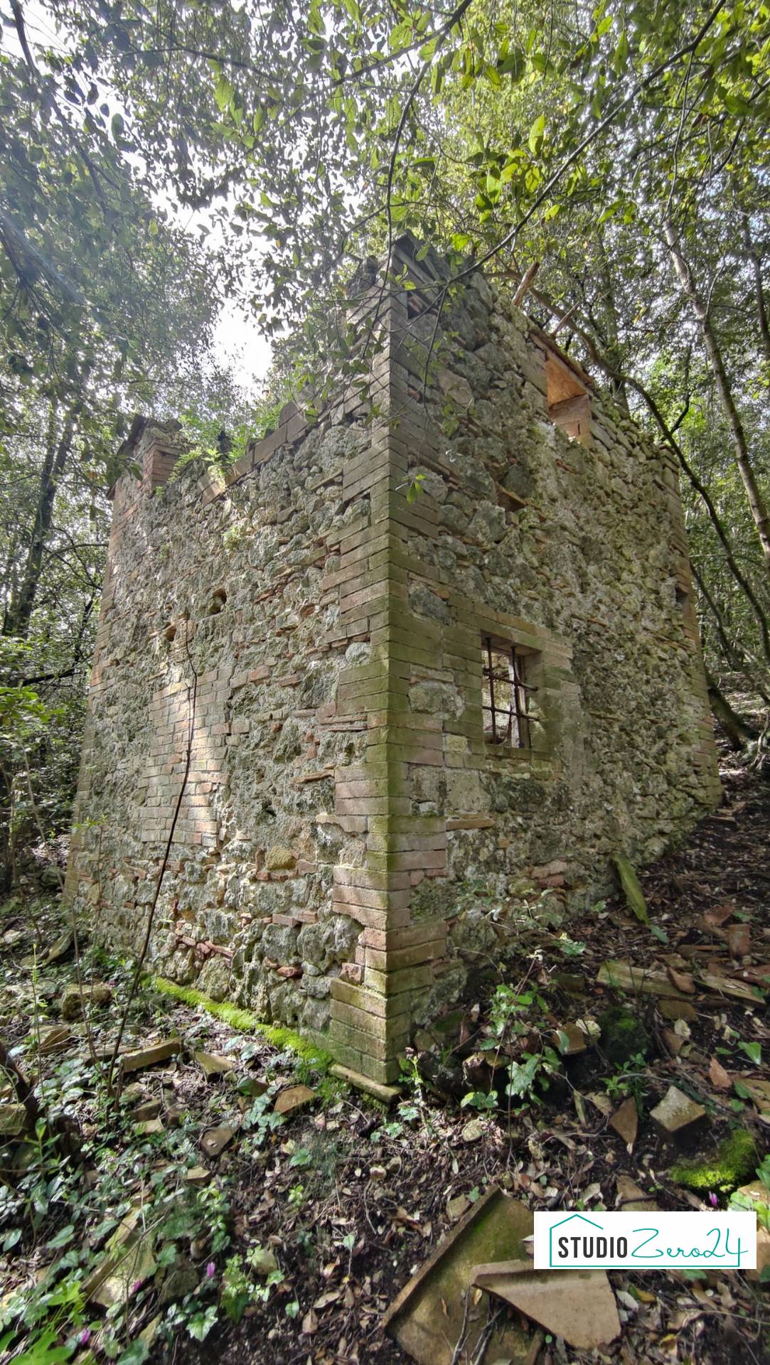 immagine annuncio 2 di 3