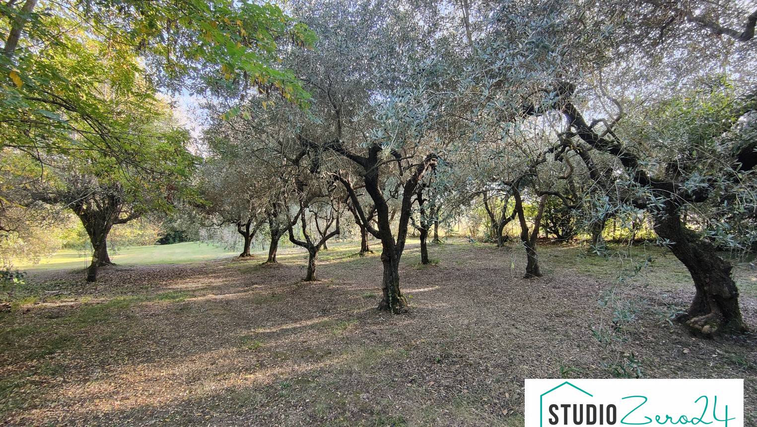 Casale in vendita a Amelia