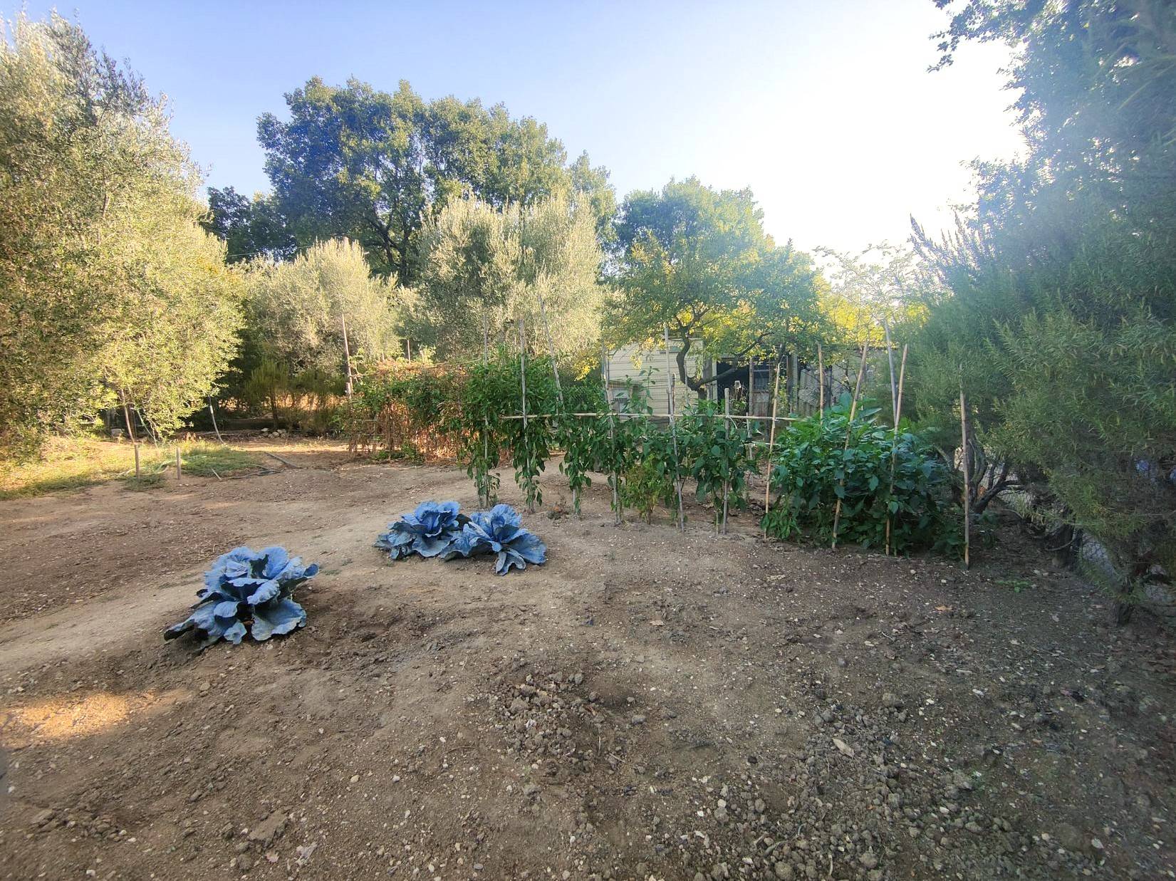 immagine annuncio 1 di 8