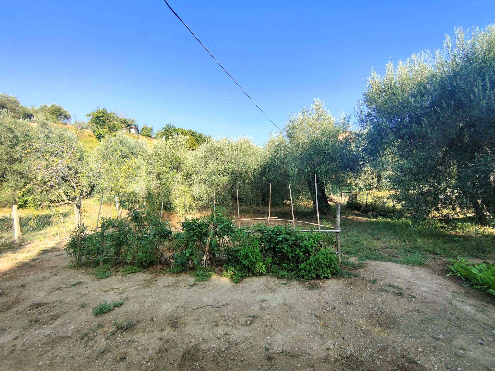 immagine annuncio 2 di 8