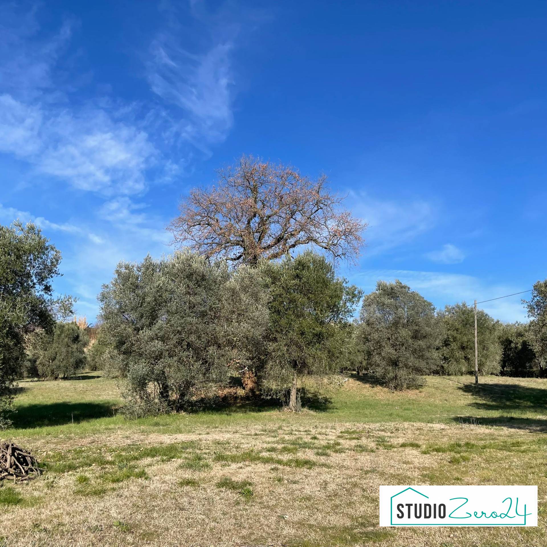 Casale in vendita a Amelia