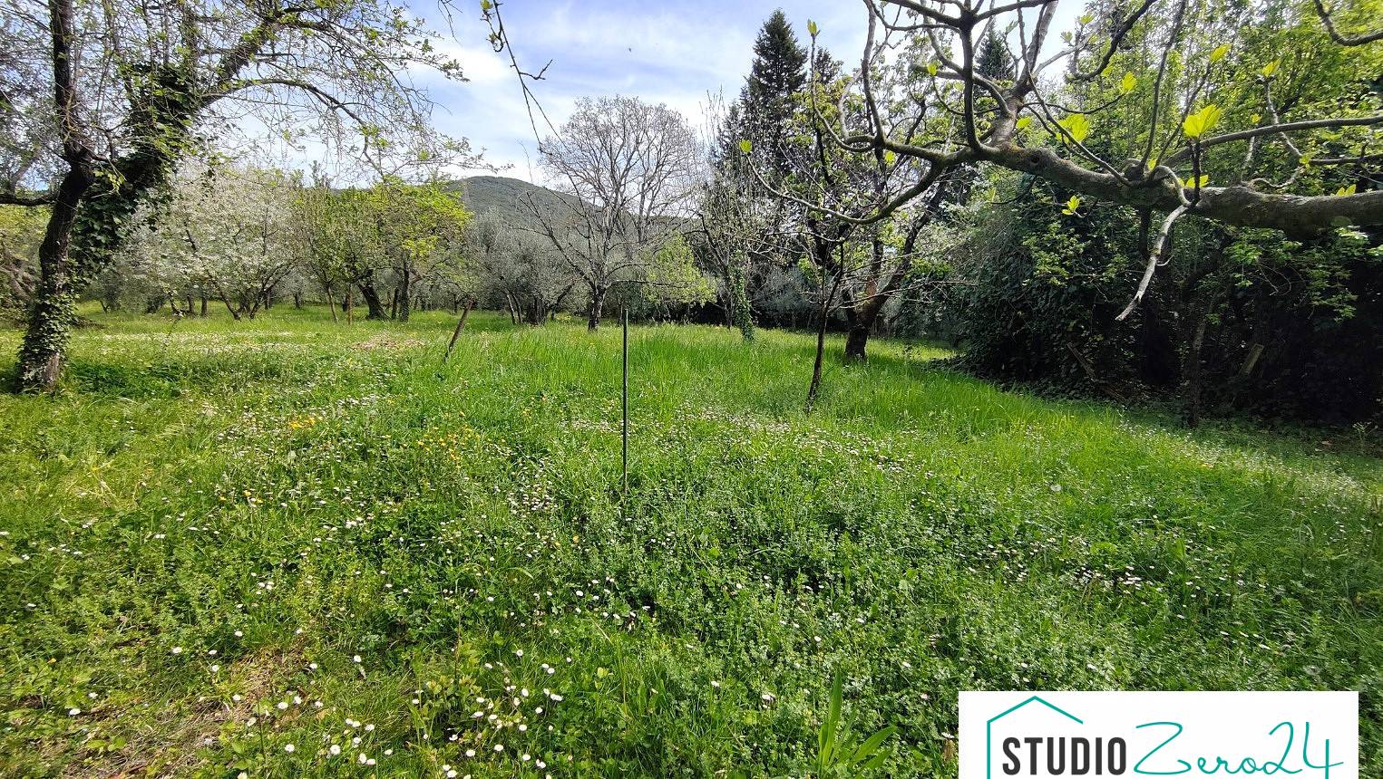 Casa singola in vendita a Amelia