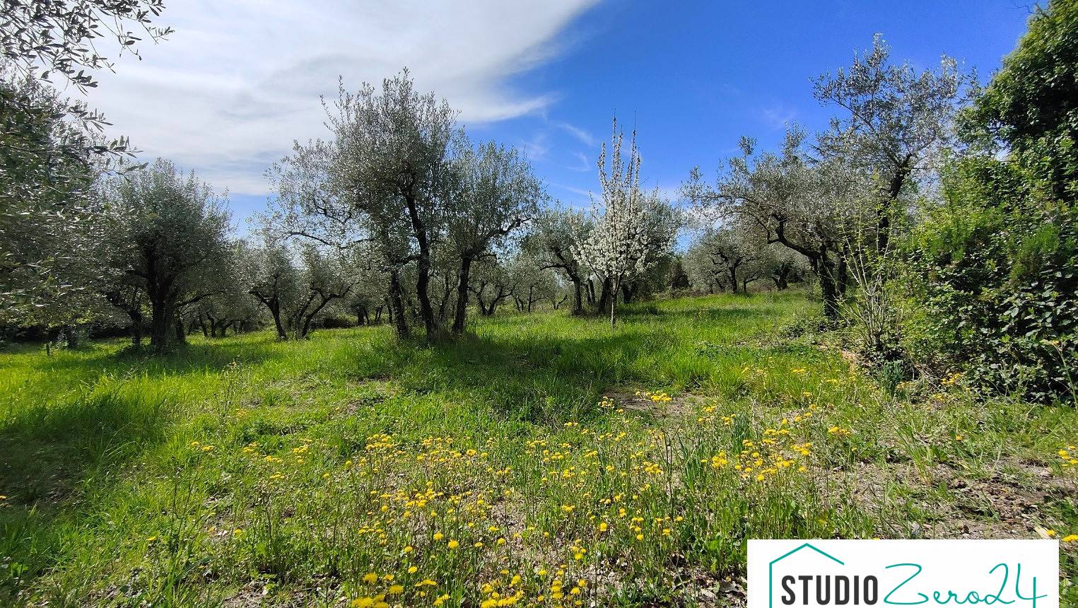 Casa singola in vendita a Amelia