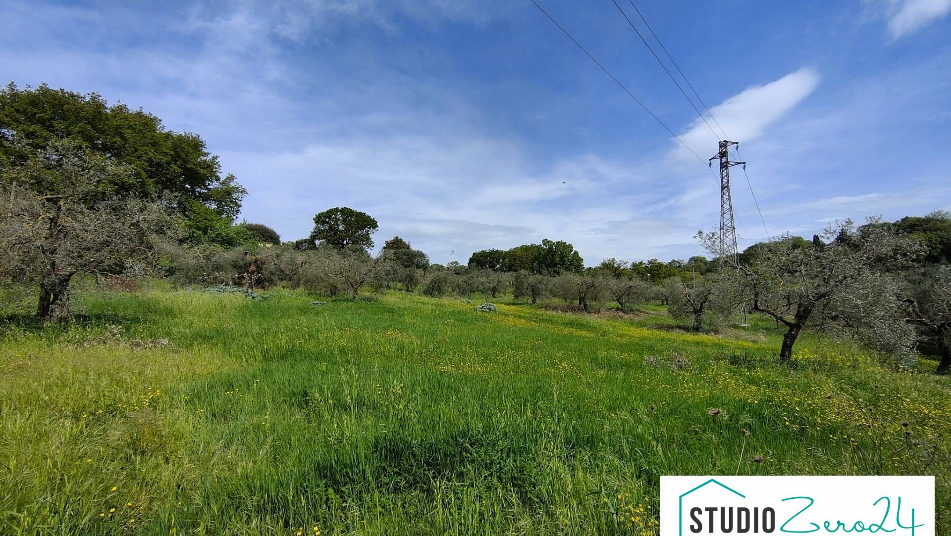 immagine annuncio 3 di 9