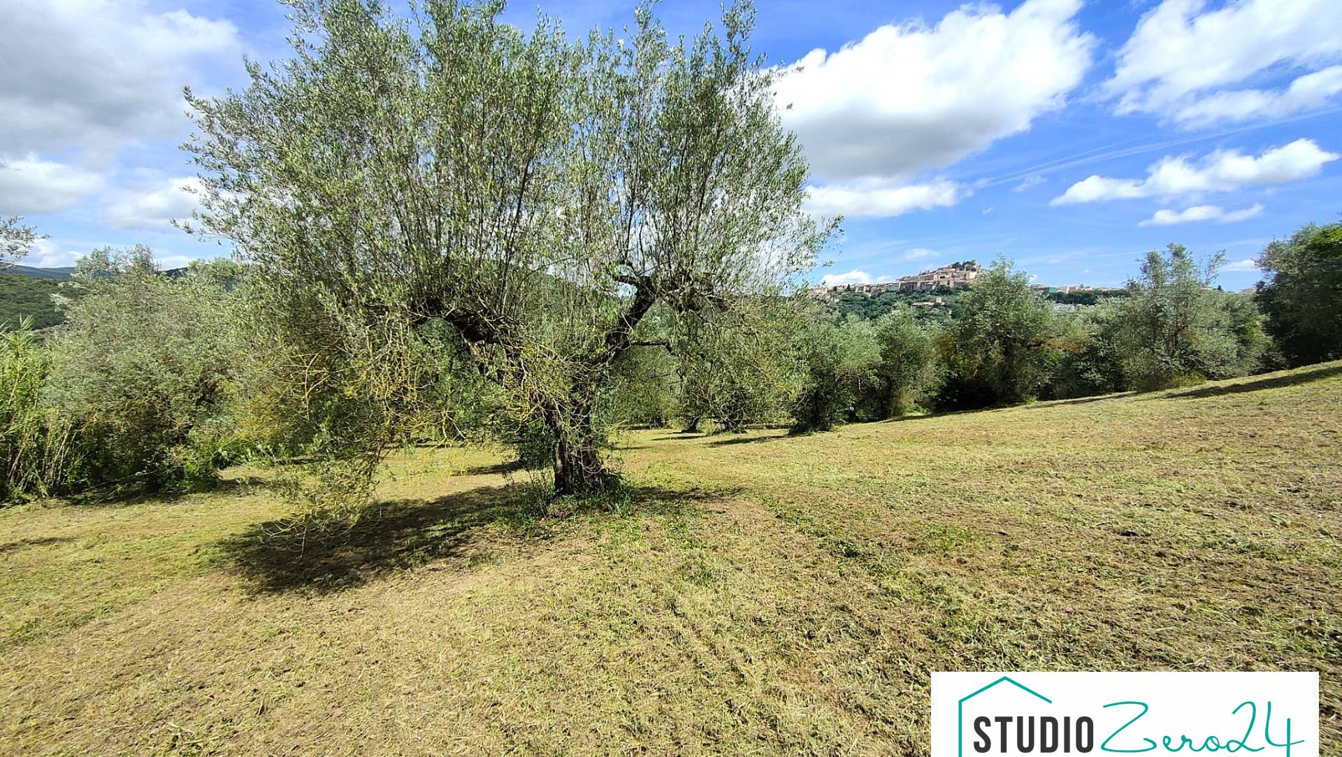 Terreno Agricolo in vendita a Amelia