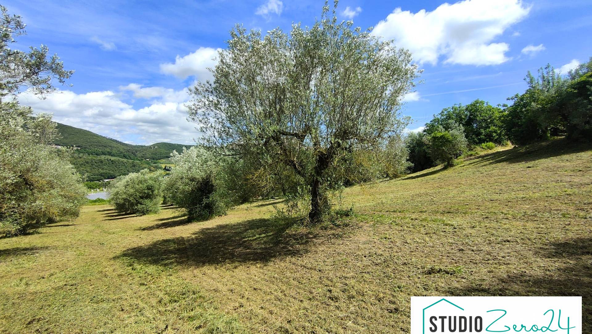 Terreno Agricolo in vendita a Amelia