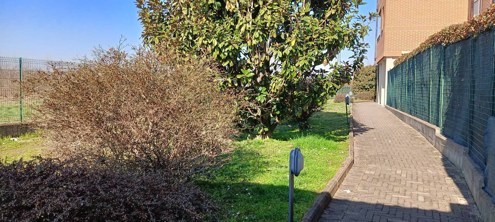 immagine annuncio 2 di 6