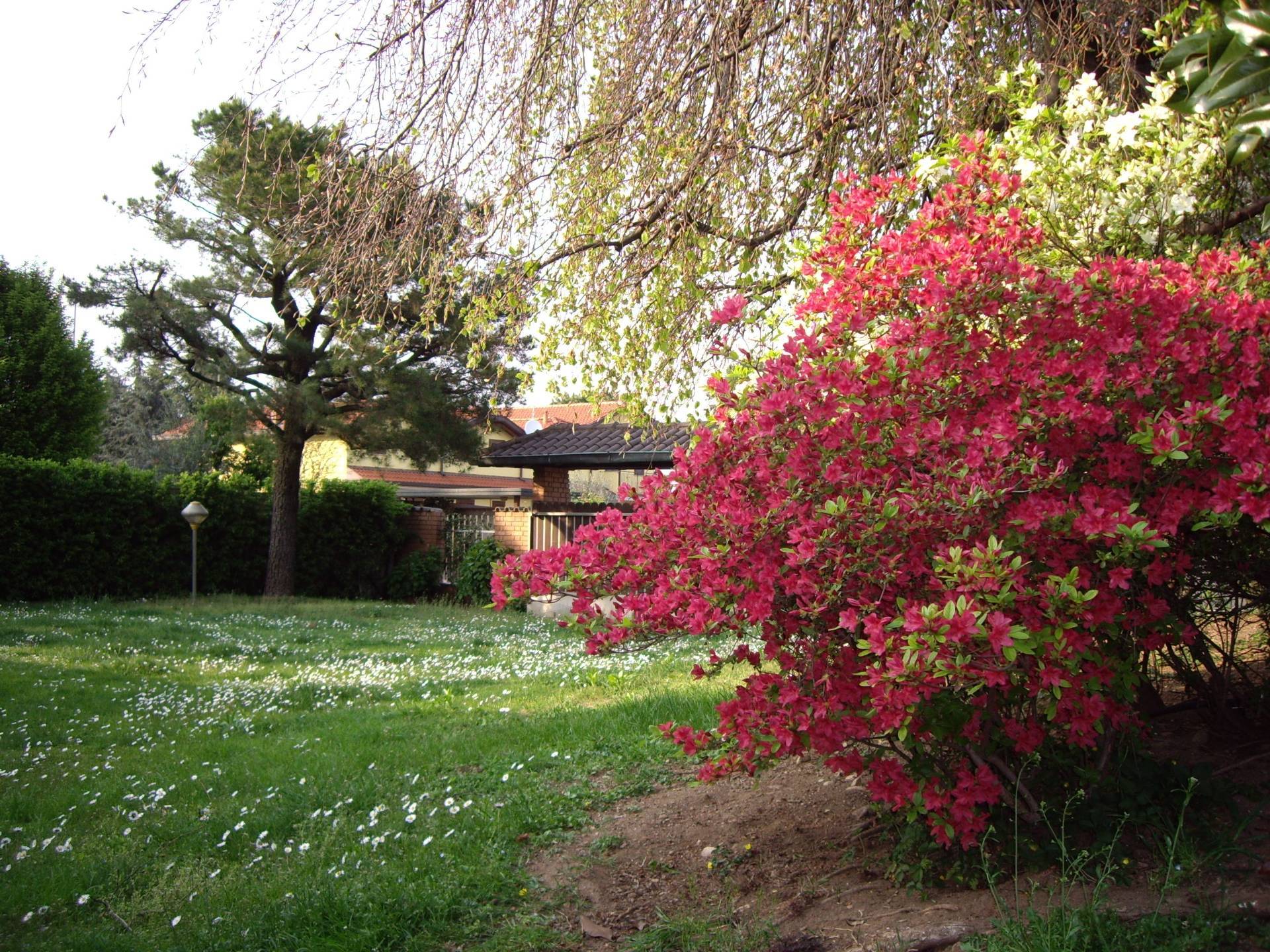 Villa in vendita a Cerro Maggiore