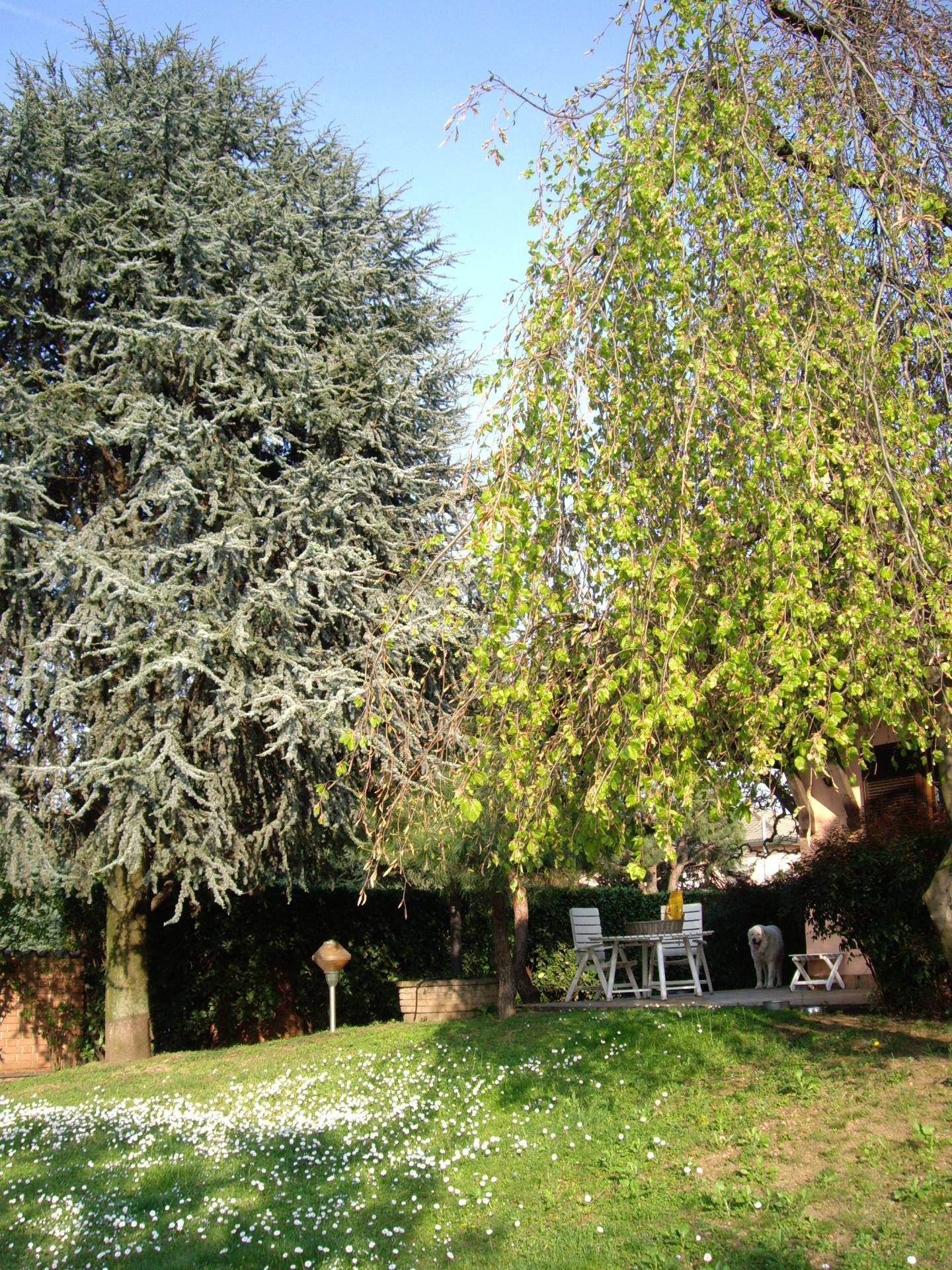 Villa in vendita a Cerro Maggiore