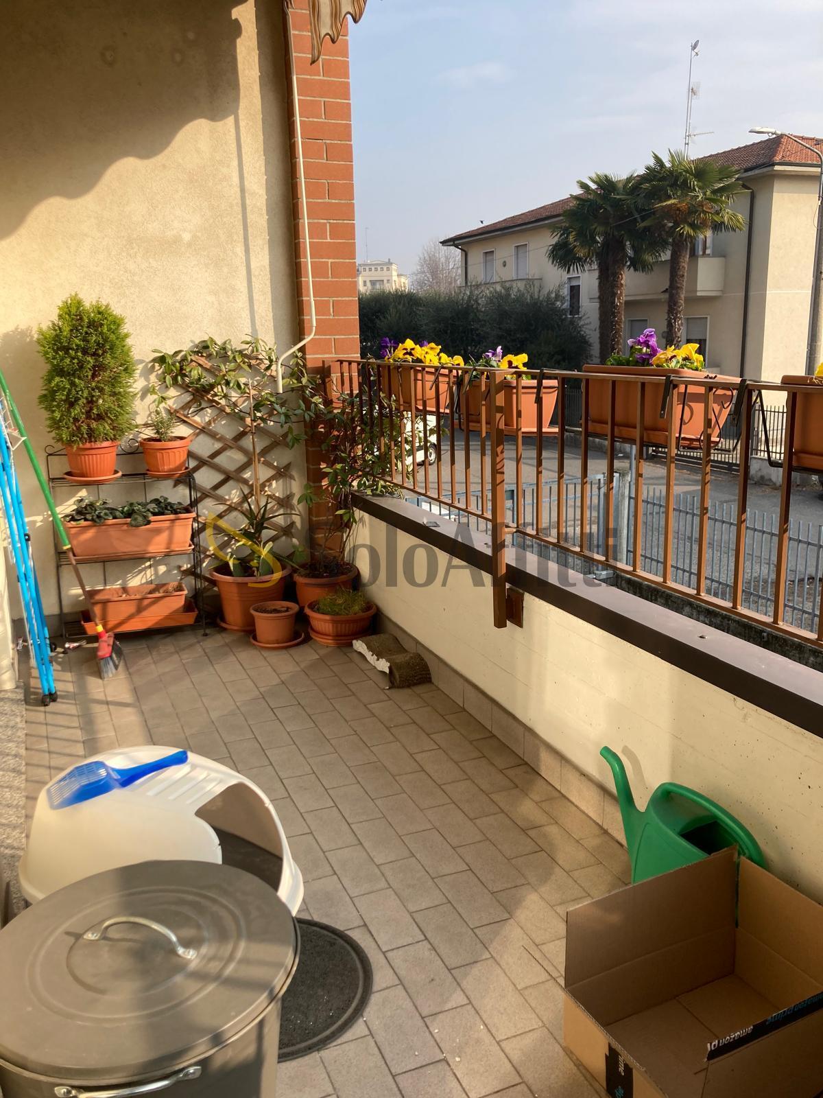 Bilocale in affitto, Gallarate arnate
