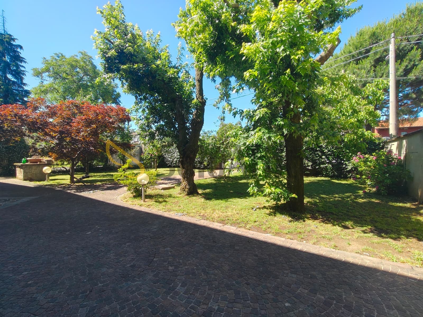 Villa con giardino, Gallarate cedrate