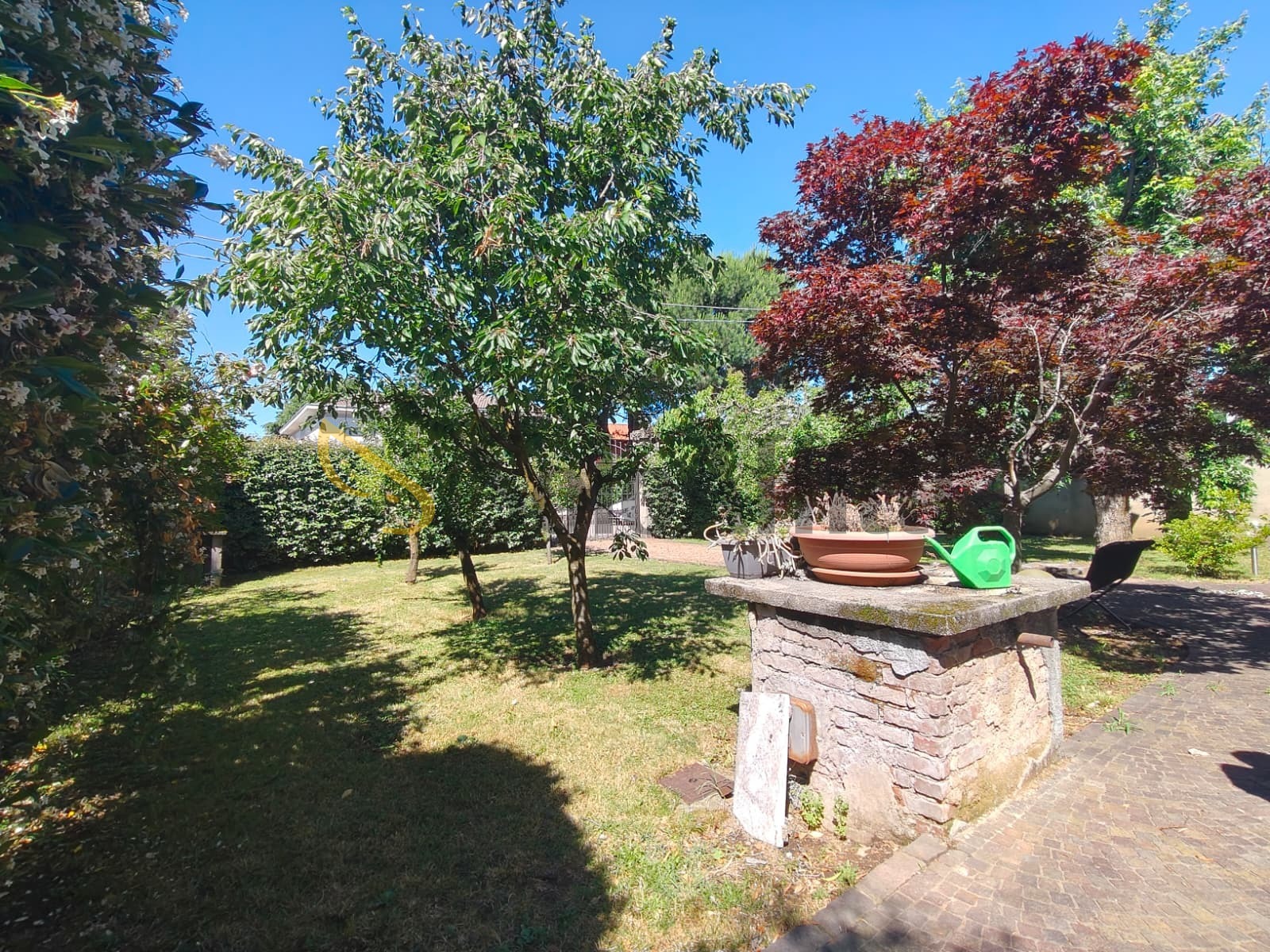 Villa con giardino, Gallarate cedrate