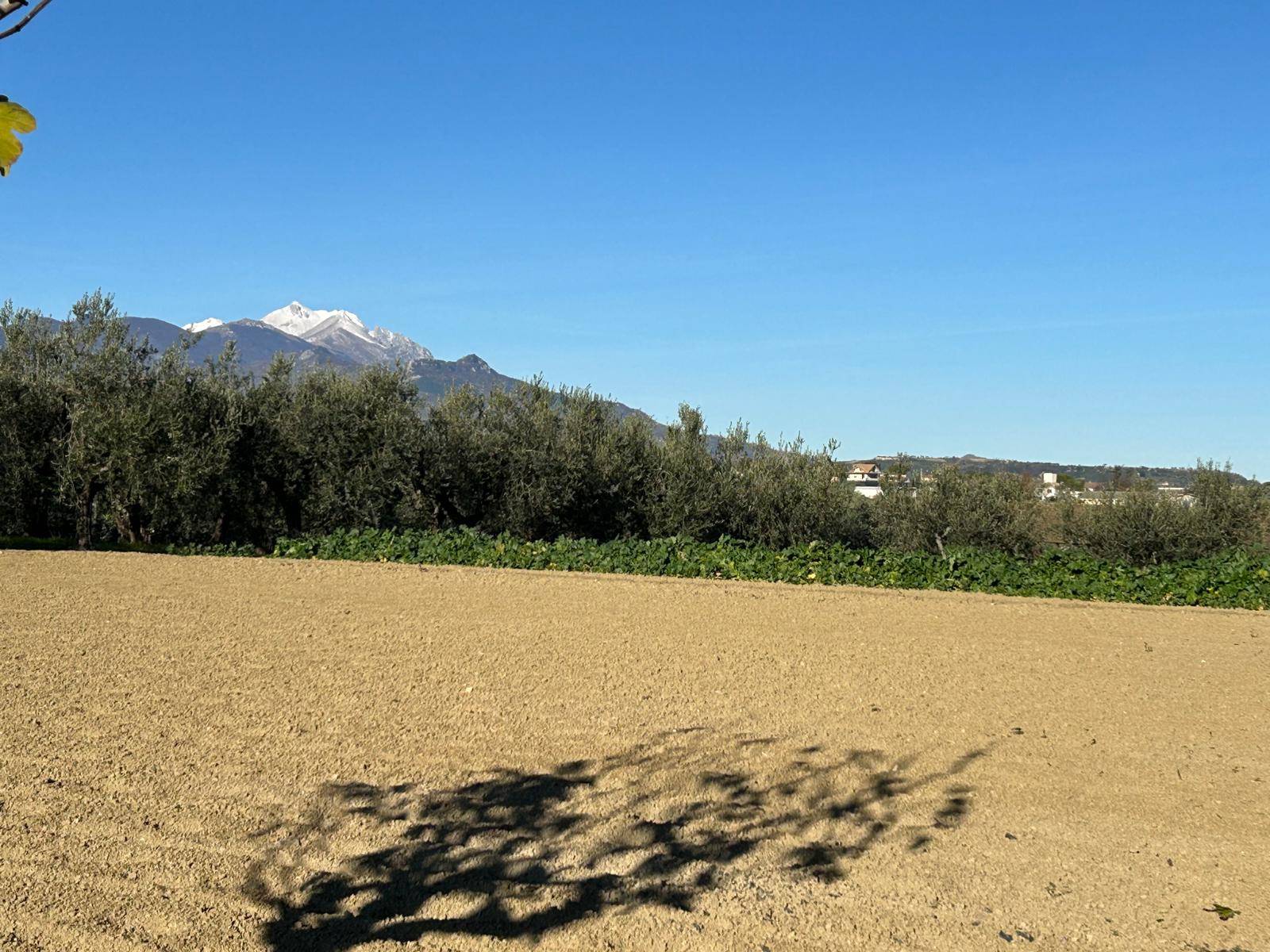 Terreno edificabile in vendita a Nocciano, Collina