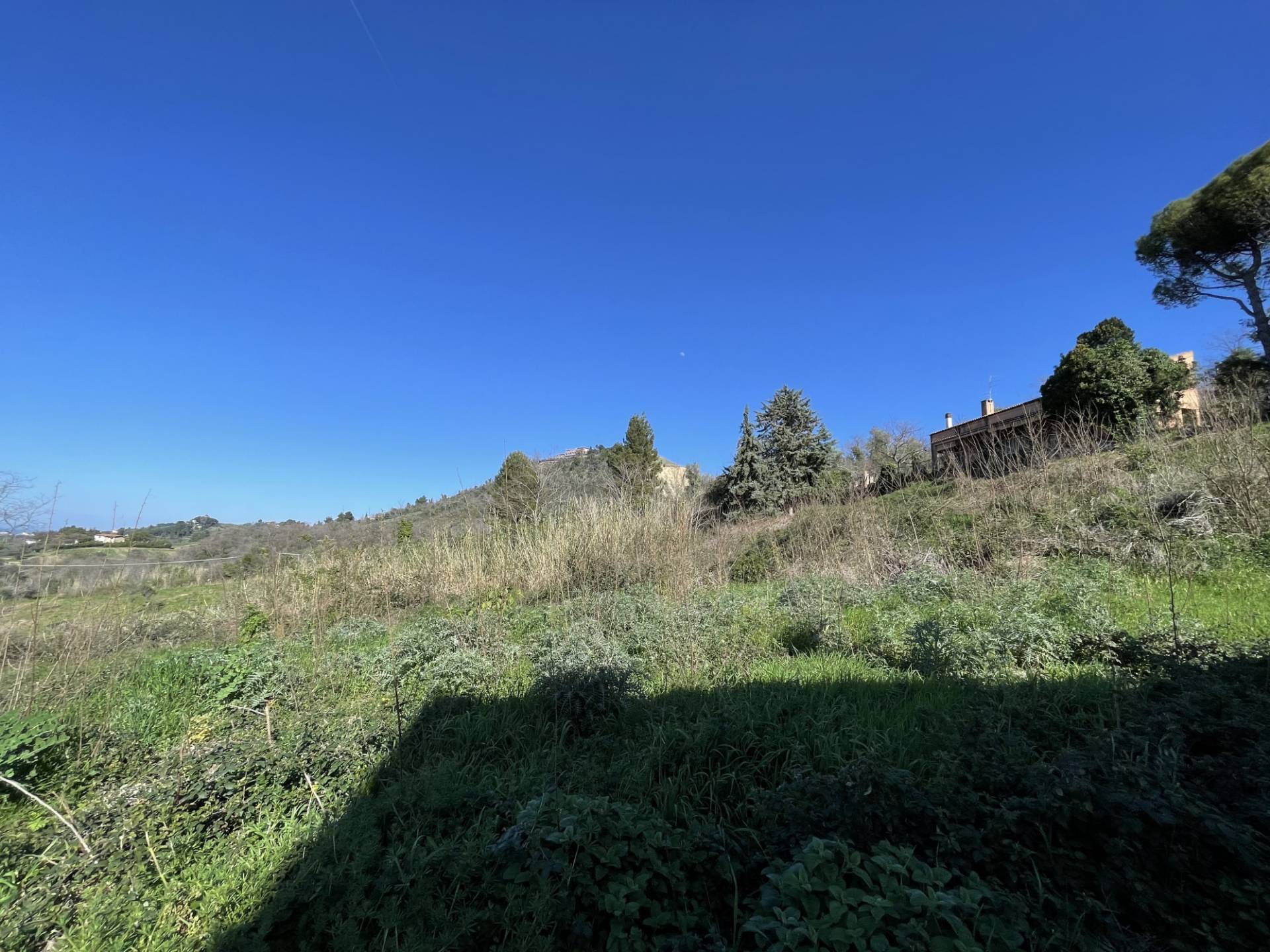 immagine annuncio 2 di 8