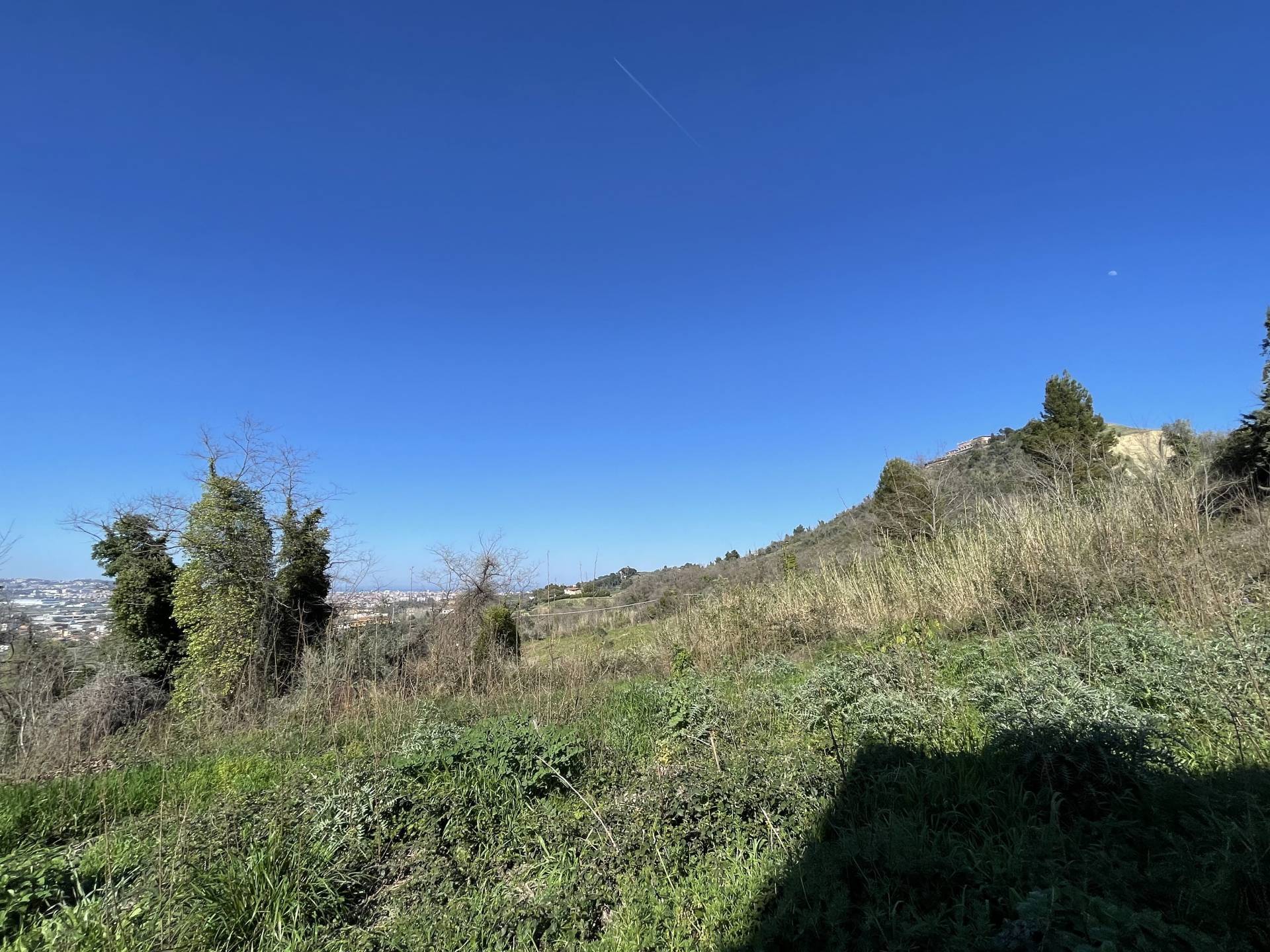 immagine annuncio 3 di 8