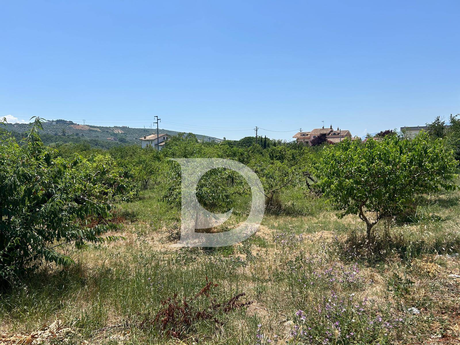 Terreno edificabile in vendita a Collecorvino, Barberi