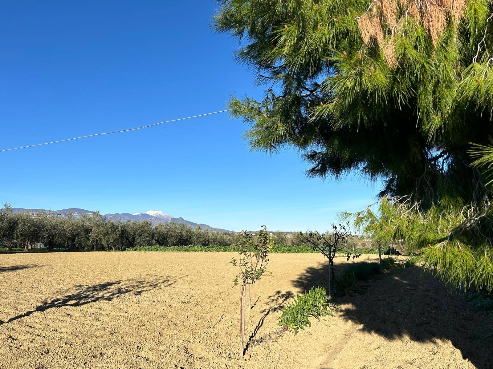 Terreno edificabile in vendita a Nocciano, Collina