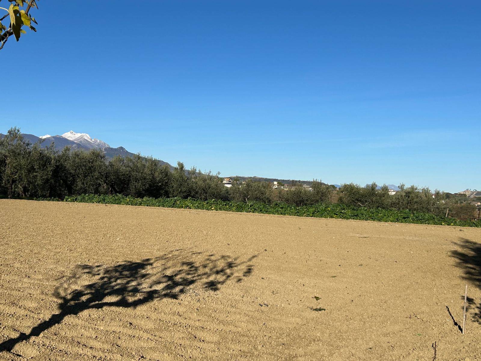 Terreno edificabile in vendita a Nocciano, Collina