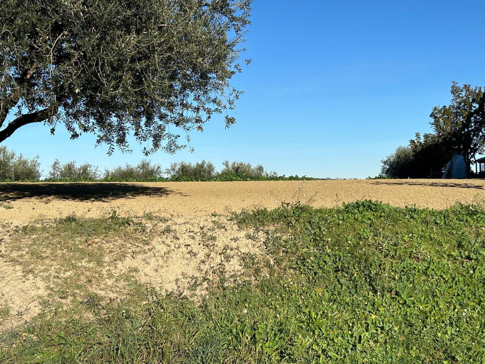 Terreno edificabile in vendita a Nocciano, Collina