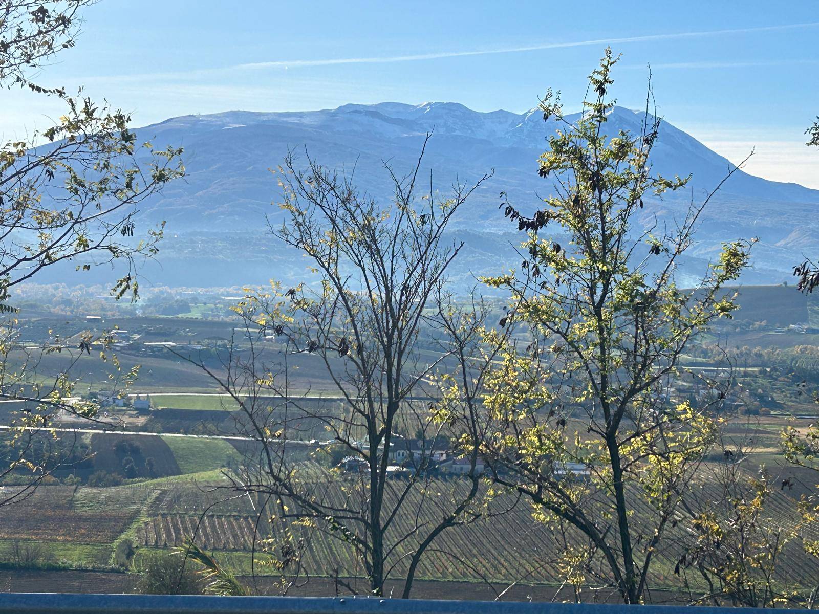 Terreno edificabile in vendita a Nocciano, Collina