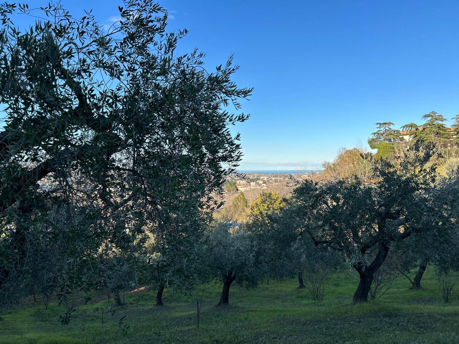 Casa singola in vendita a Montesilvano