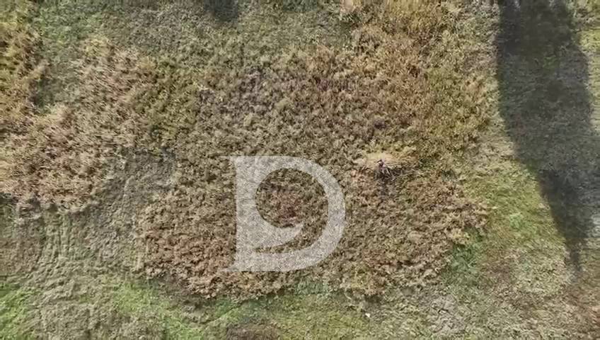 Terreno edificabile in vendita a Pescara, Zona Tiburtina
