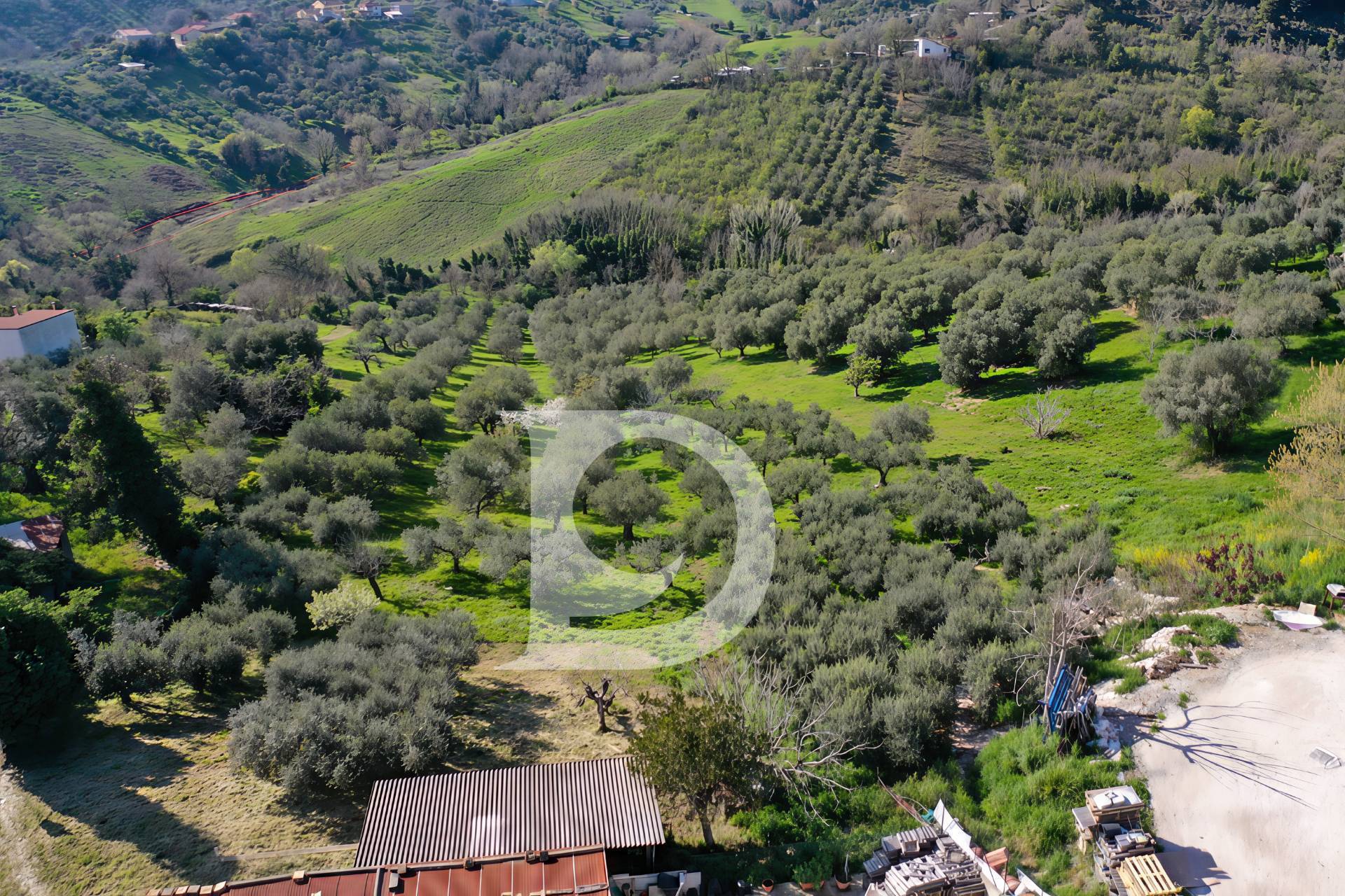 Terreno edificabile in vendita a Pescara, Zona Colli