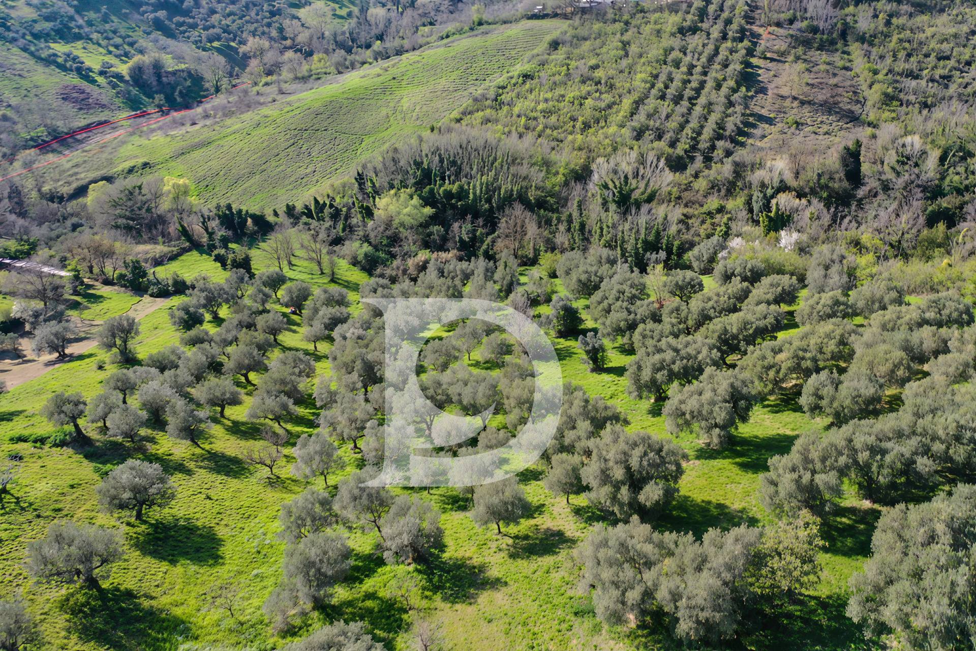 Terreno edificabile in vendita a Pescara, Zona Colli
