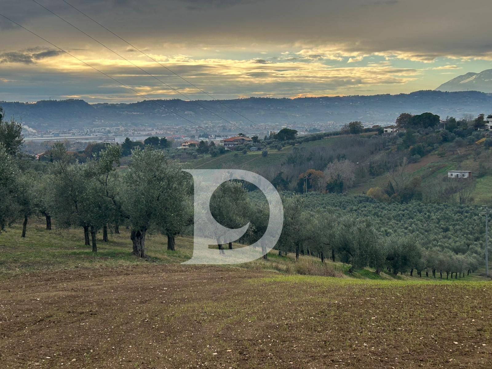 Terreno Agricolo in vendita a Spoltore