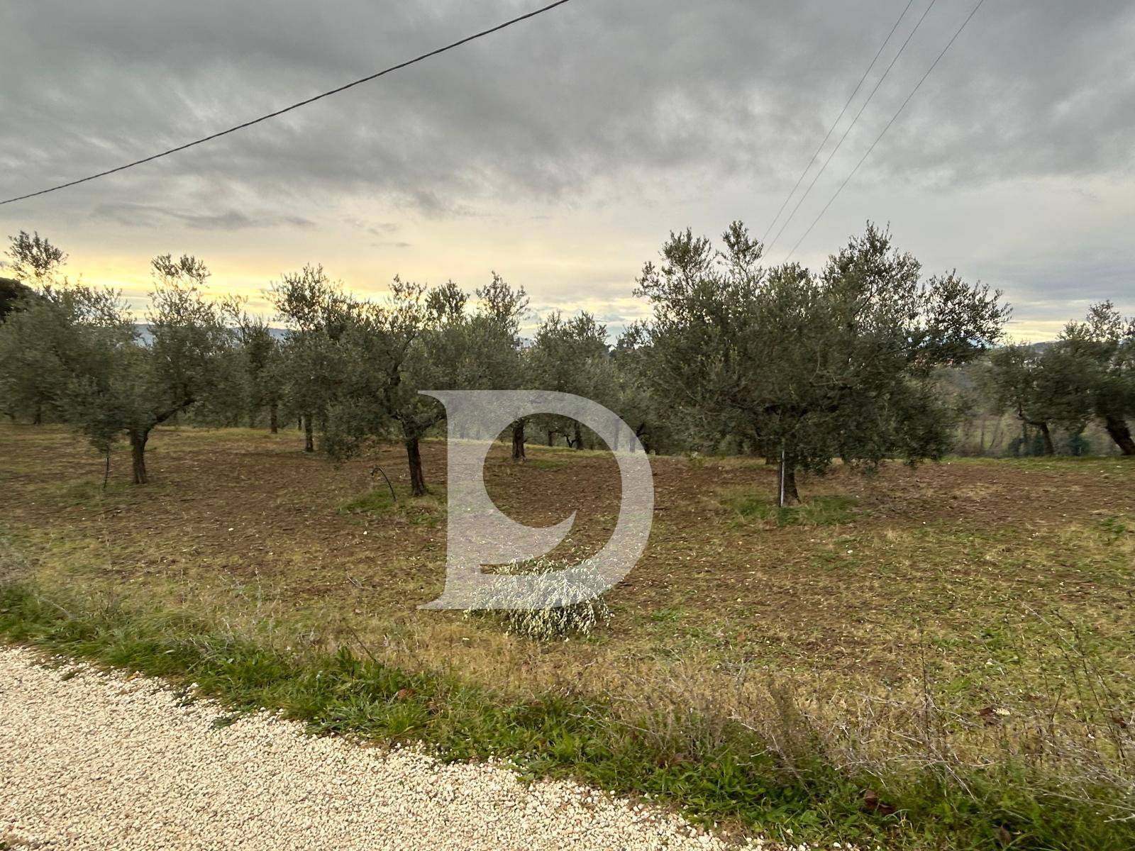 Terreno Agricolo in vendita a Spoltore