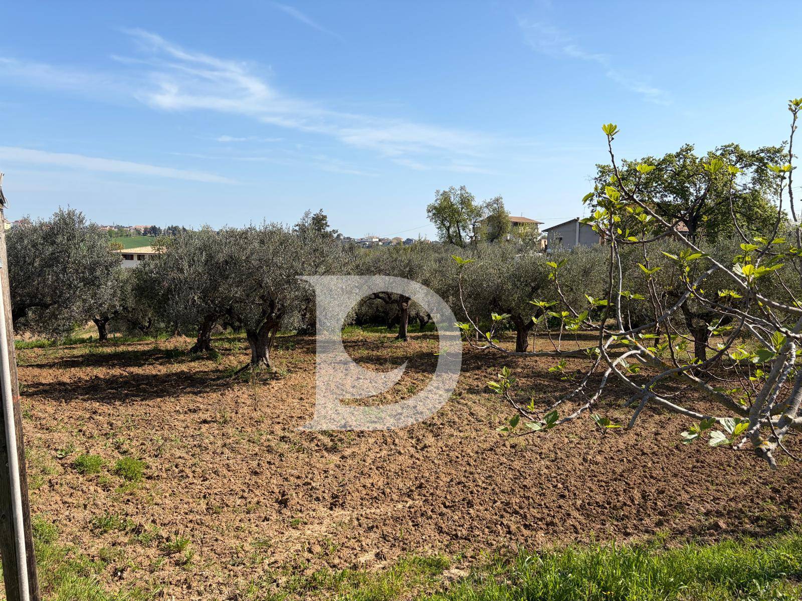 Terreno edificabile in vendita a Pianella