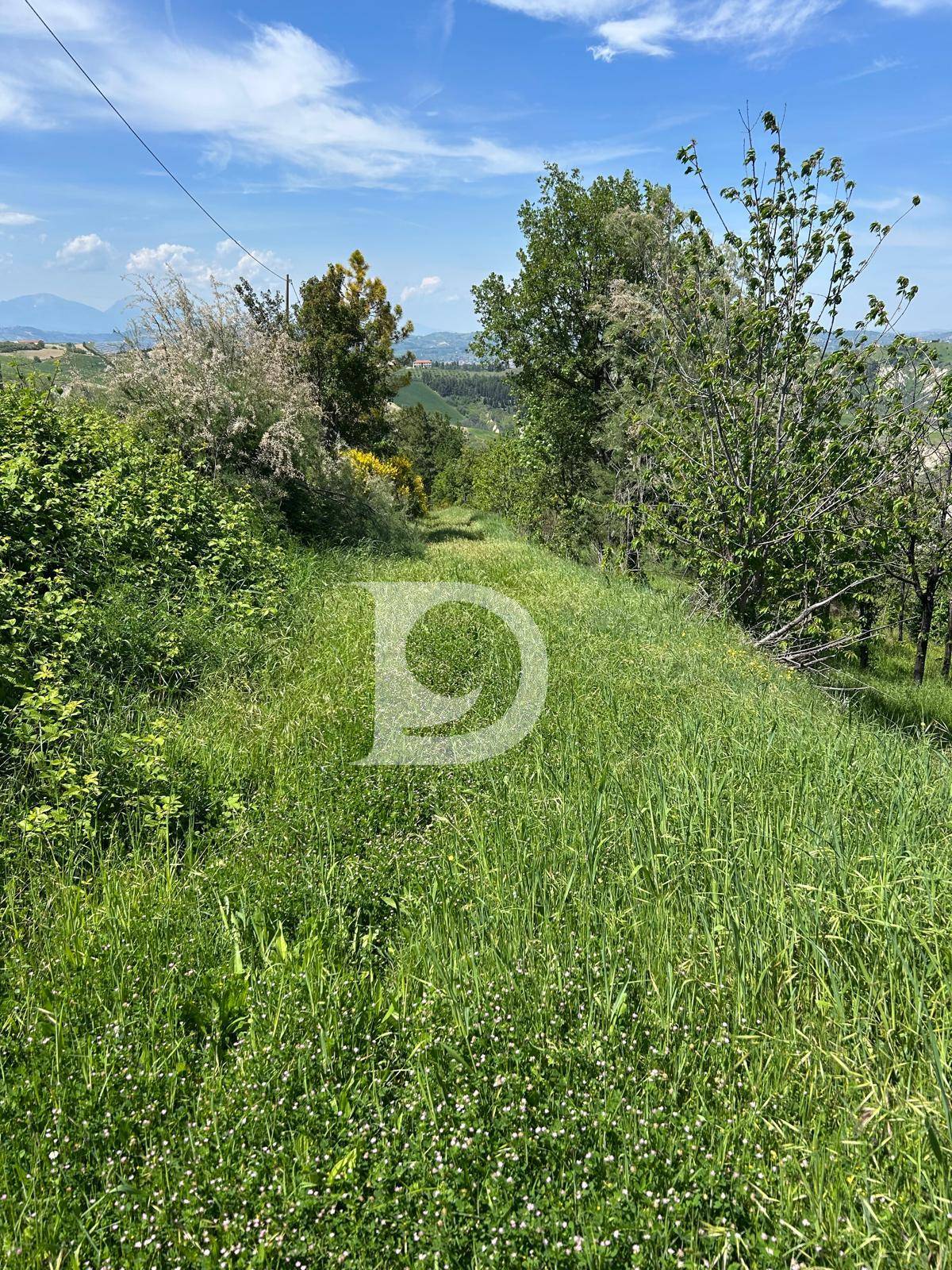 Terreno Agricolo in vendita a Atri