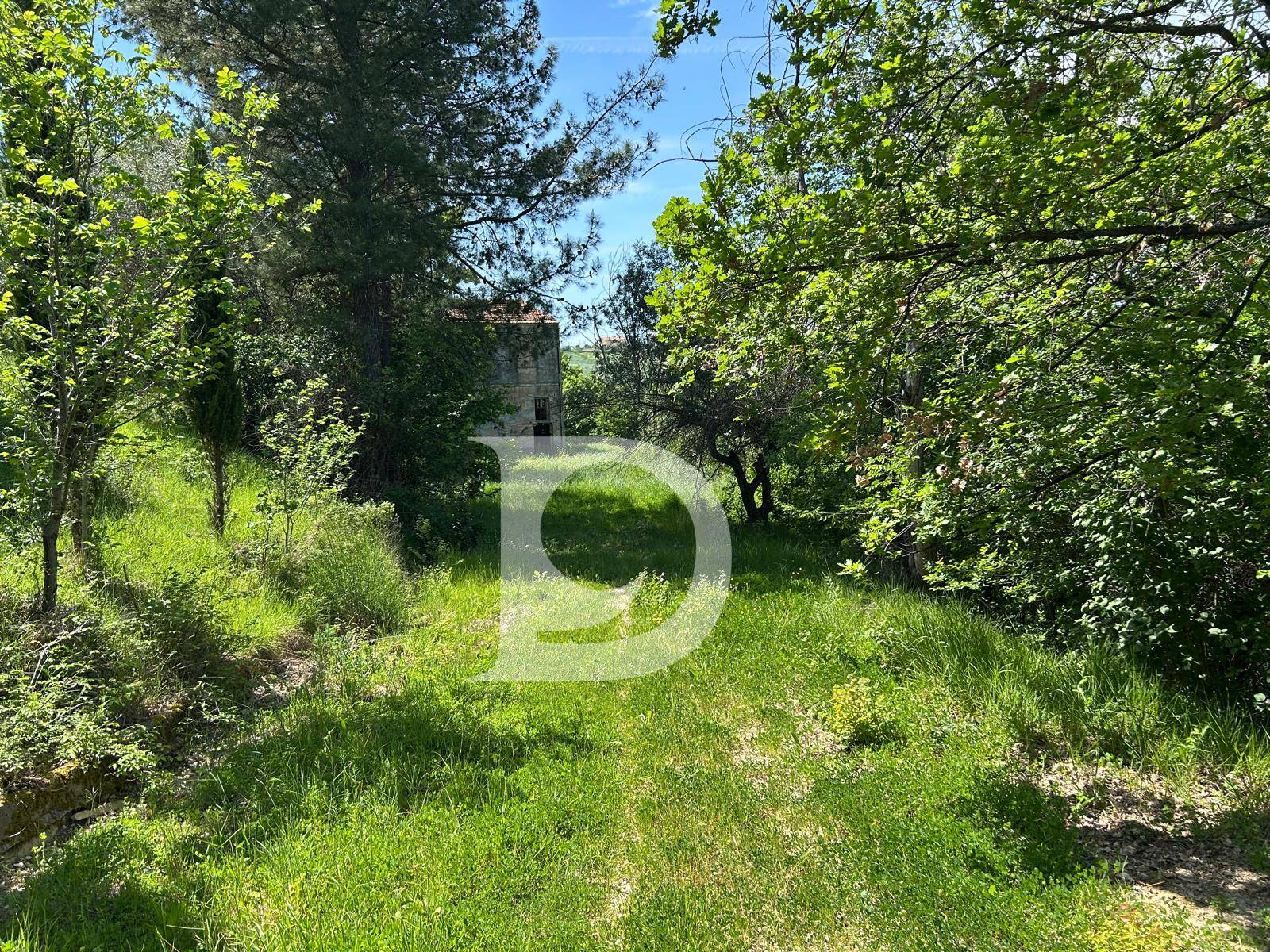 Terreno Agricolo in vendita a Atri