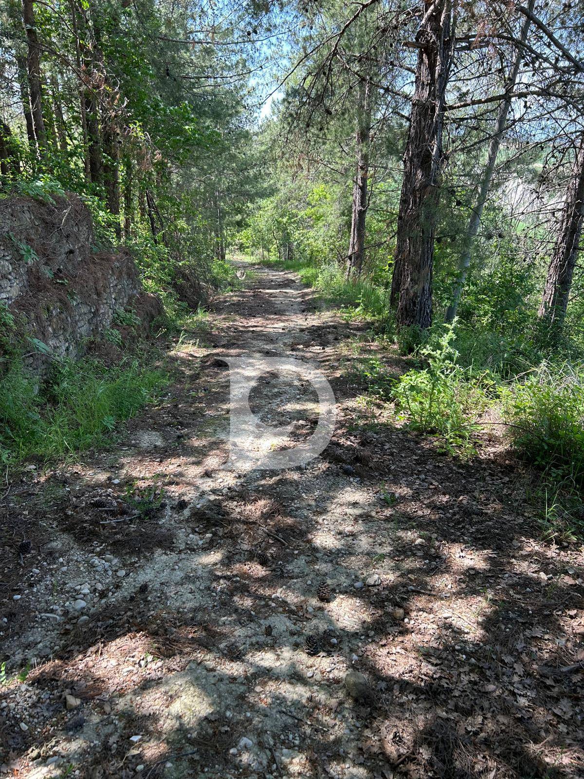 Terreno Agricolo in vendita a Atri