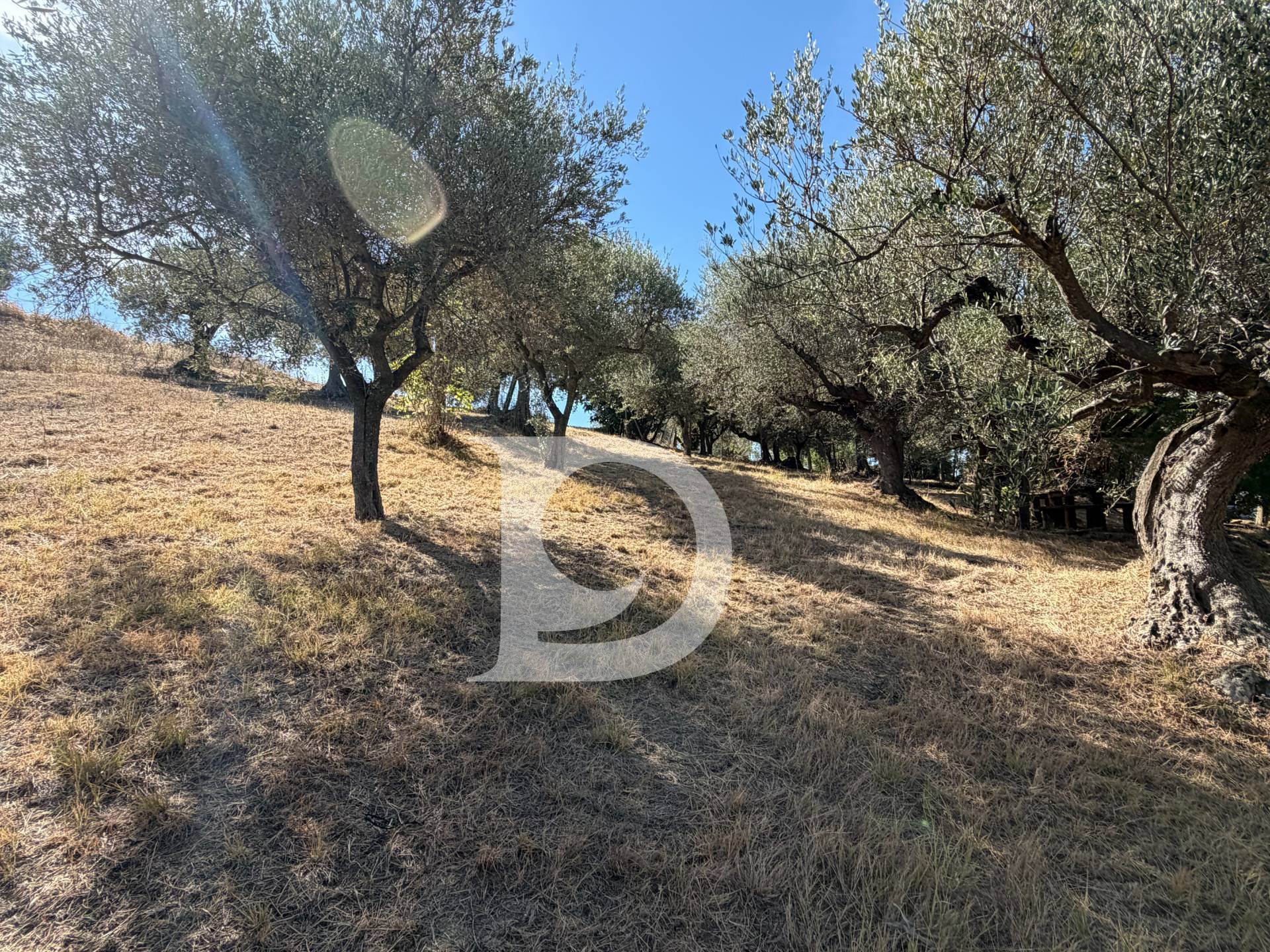 Terreno edificabile in vendita a Cappelle sul Tavo