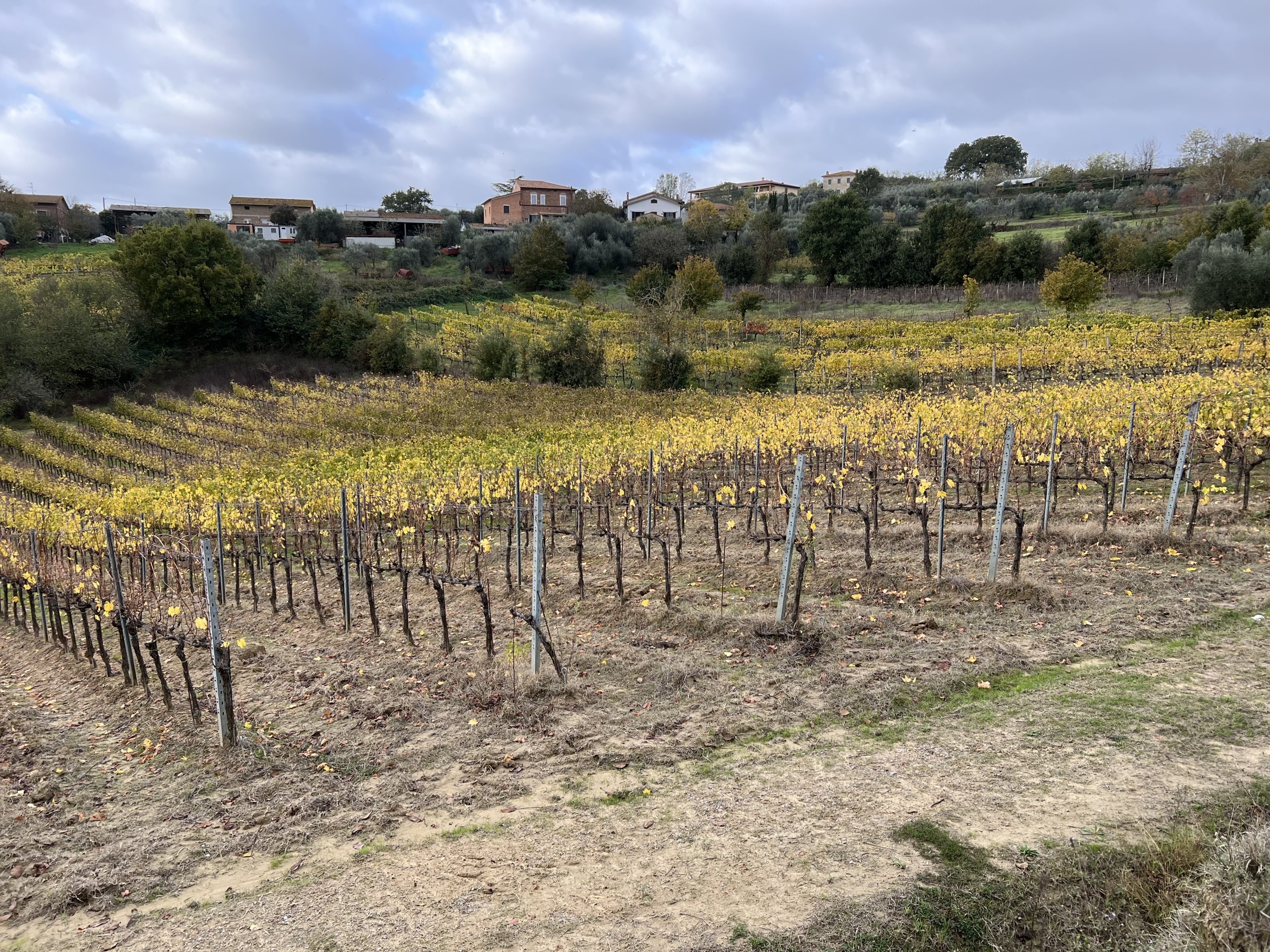 Rustico in vendita a Montepulciano