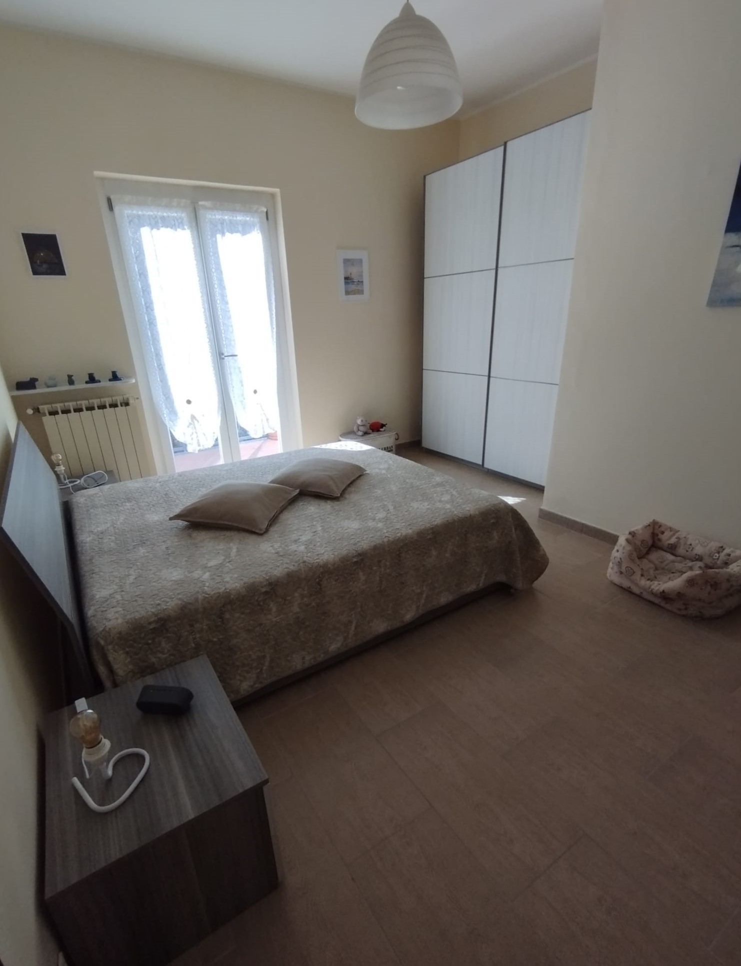 immagine annuncio 5 di 6