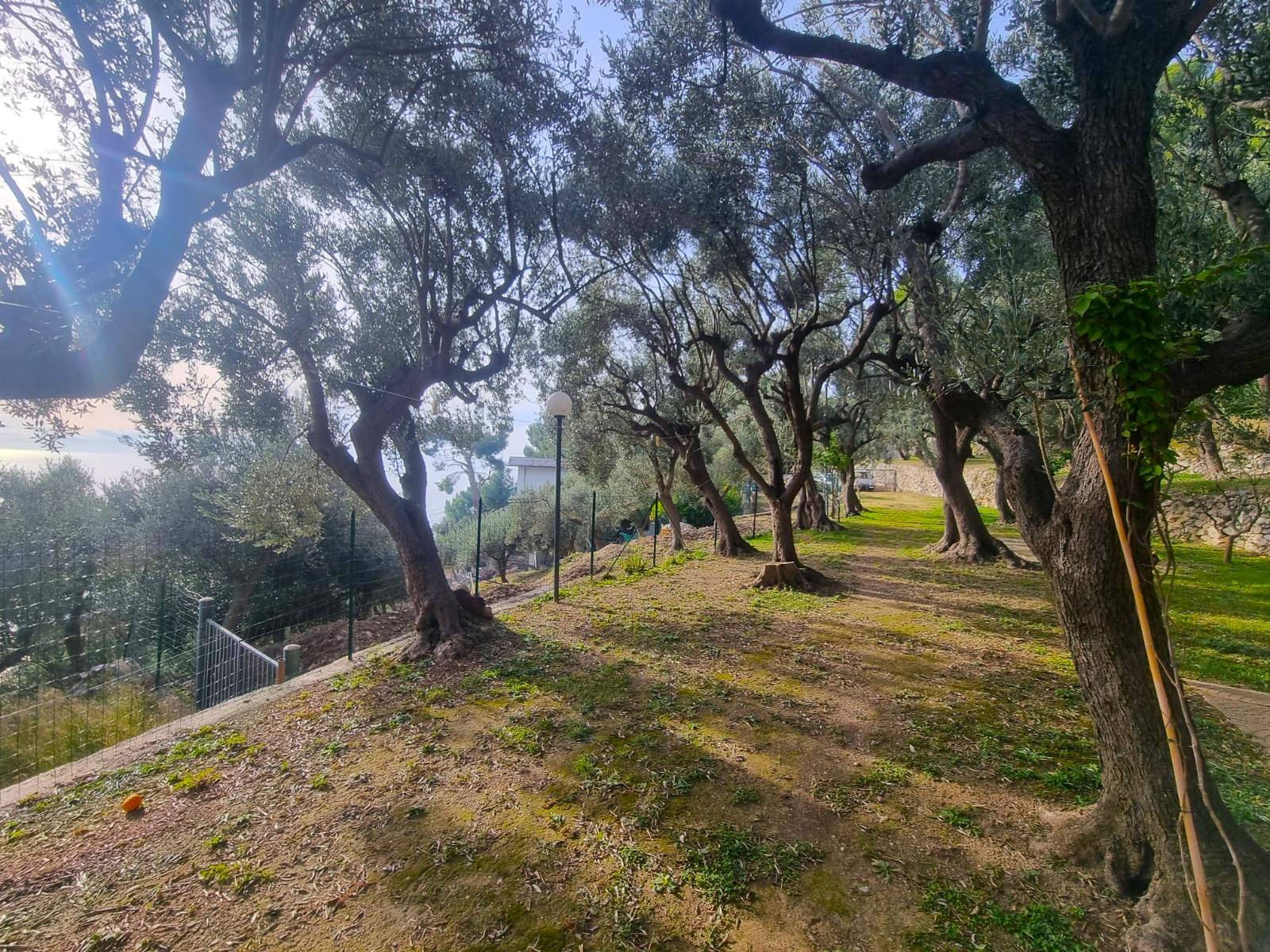 Terreno Agricolo in vendita a Finale Ligure, Finale Pia