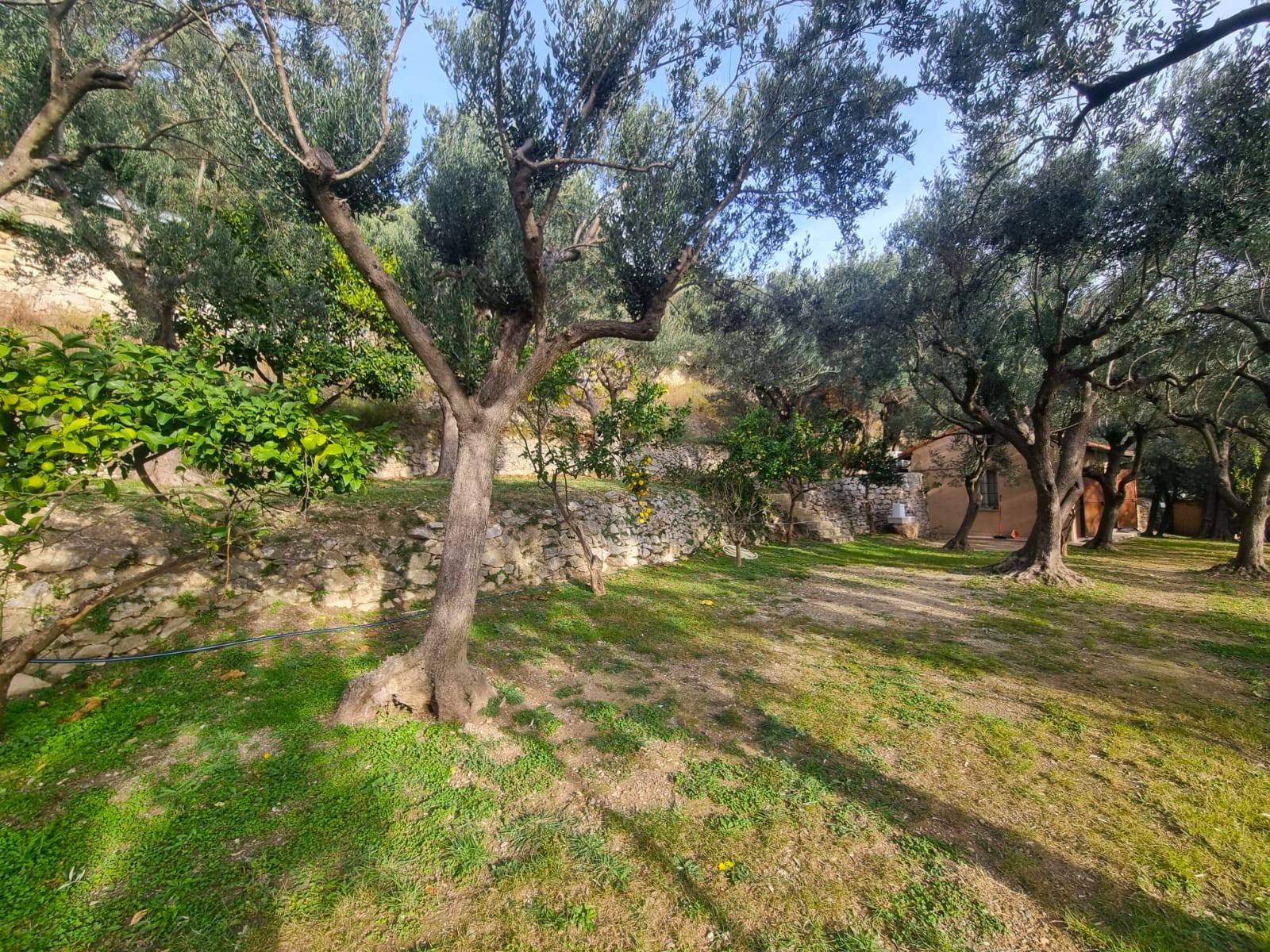 Terreno Agricolo in vendita a Finale Ligure, Finale Pia