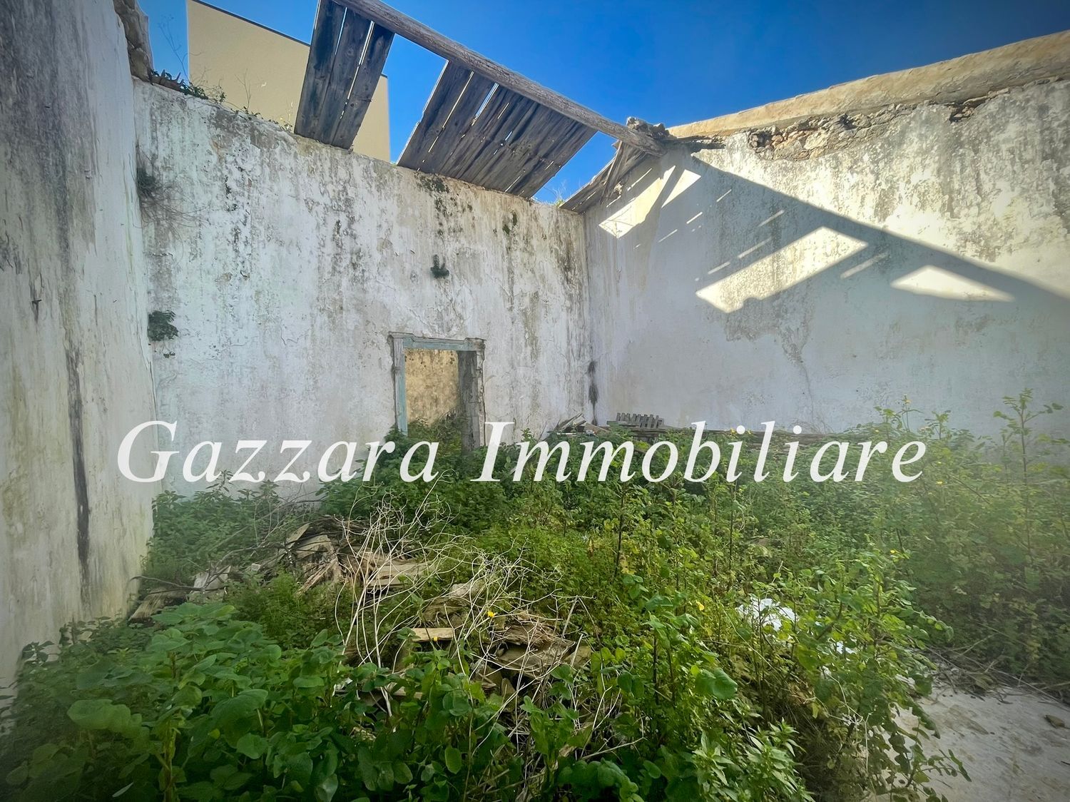 immagine annuncio 1 di 3