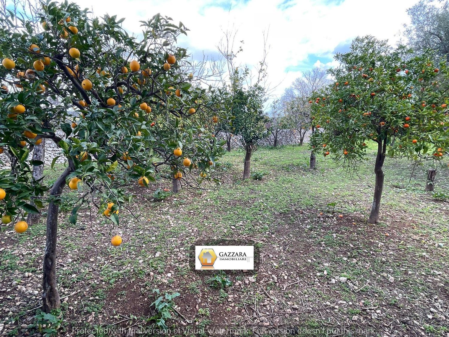 Terreno Residenziale in vendita a Canicattini Bagni